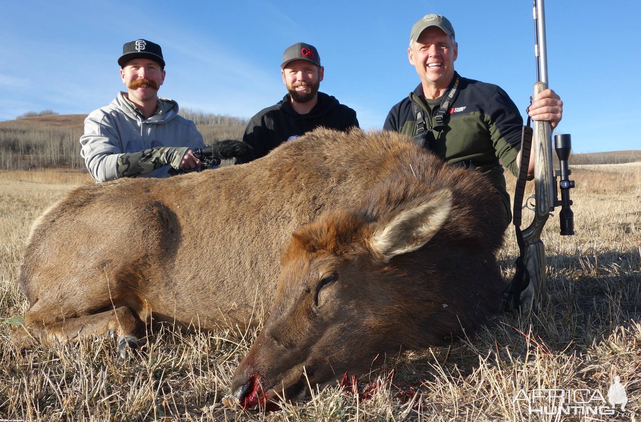 Elk Hunting