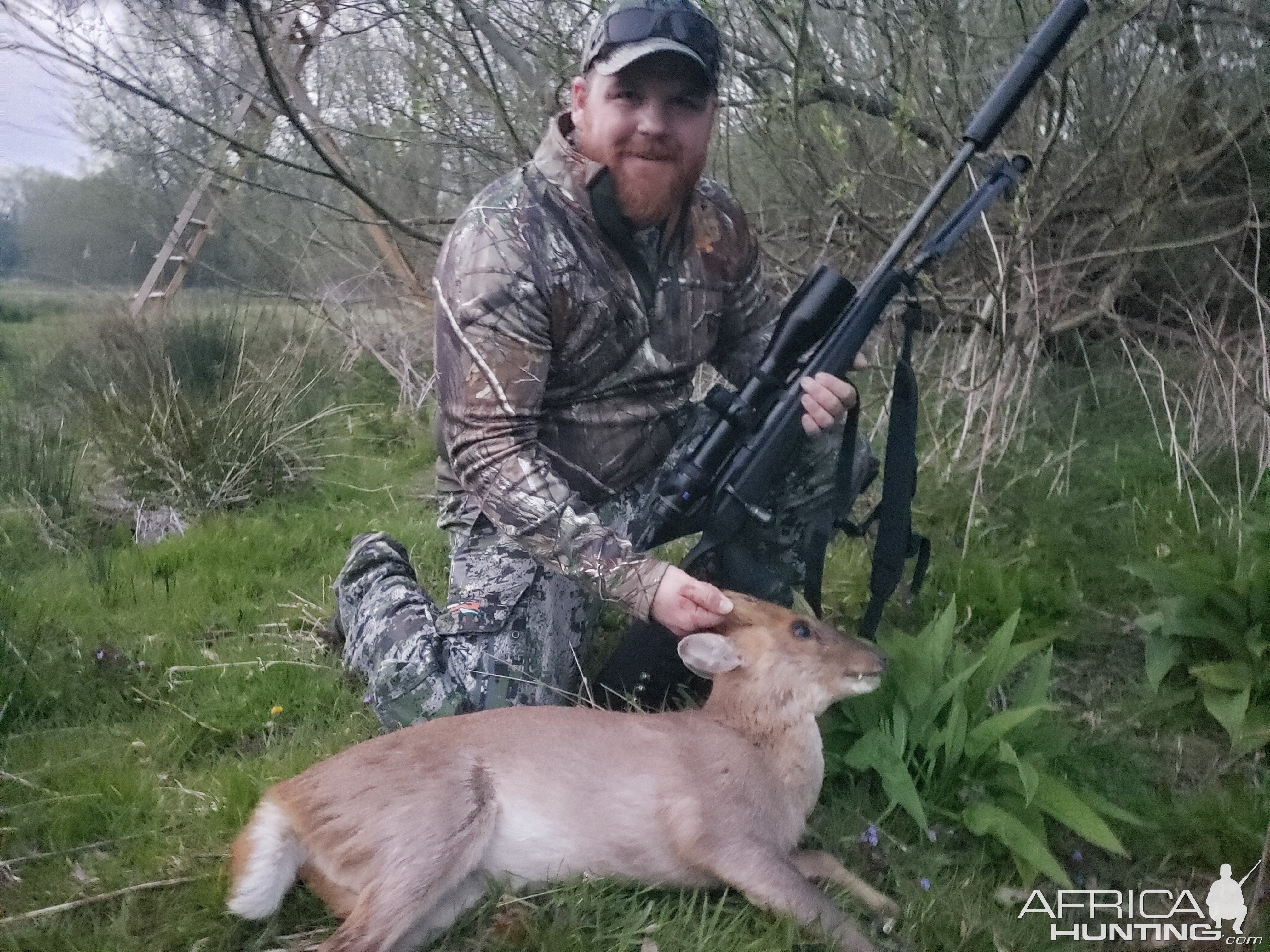 England Hunt Muntjac