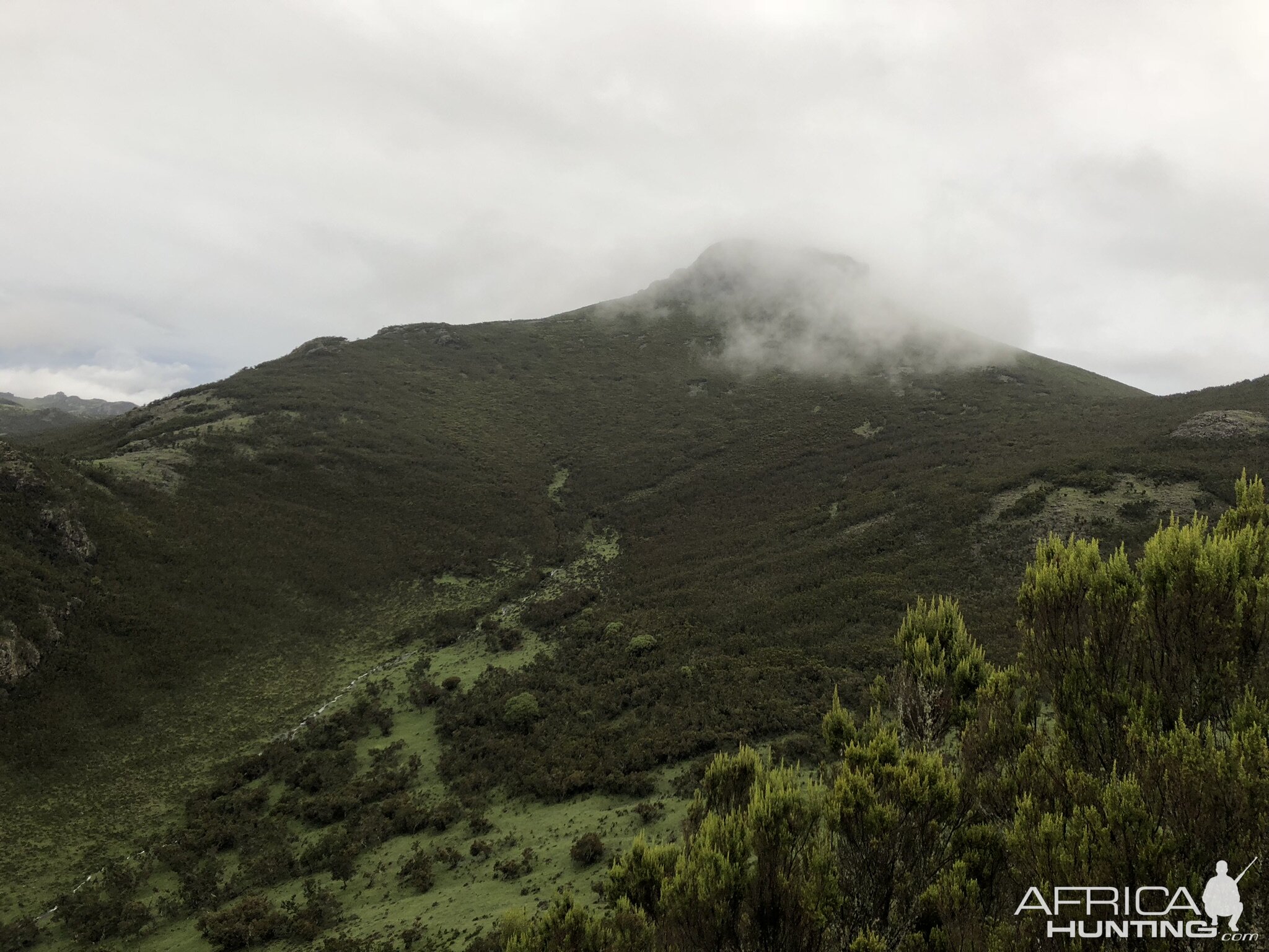 Ethiopia Hunting