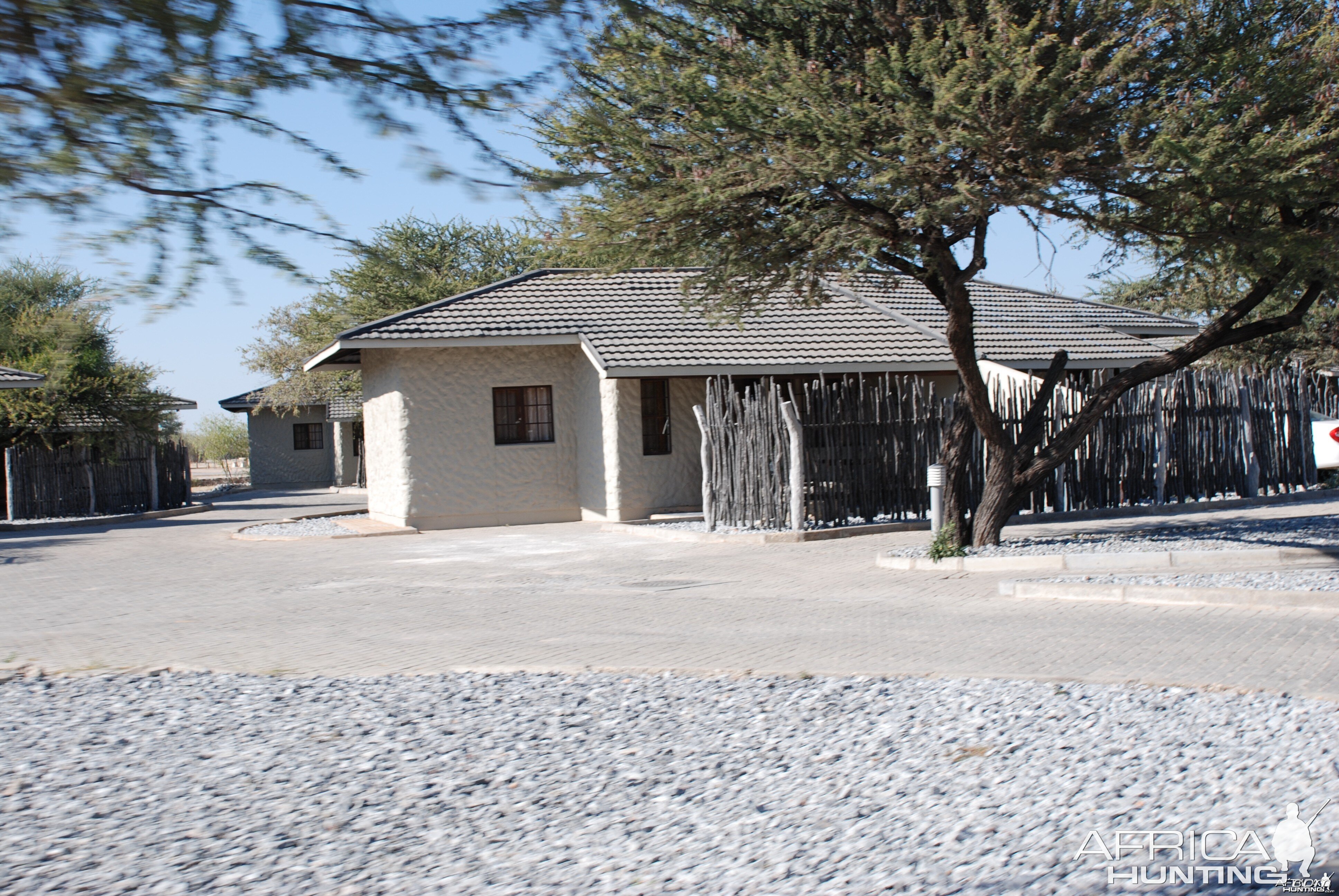 Etosha Namibia