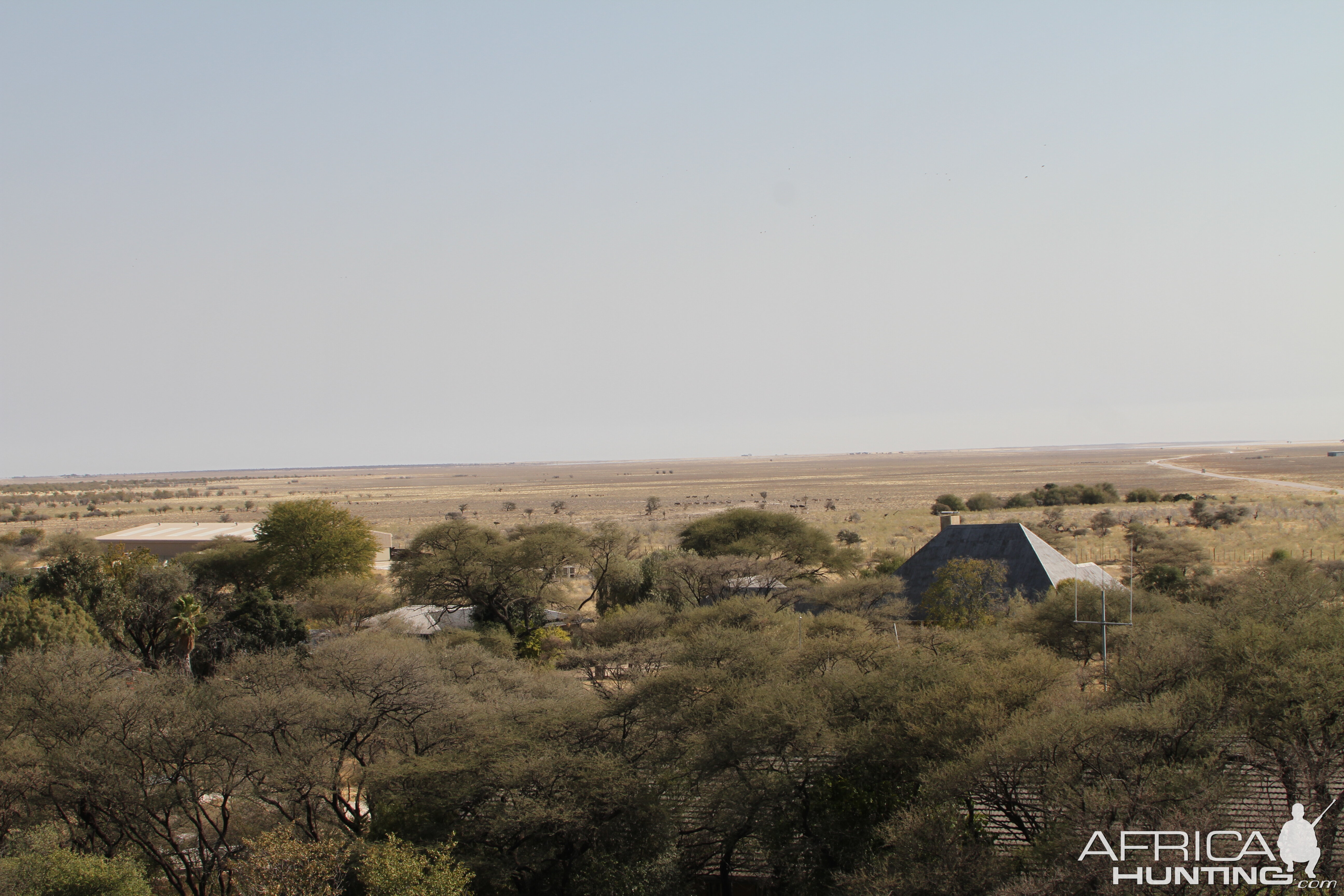 Etosha National Park