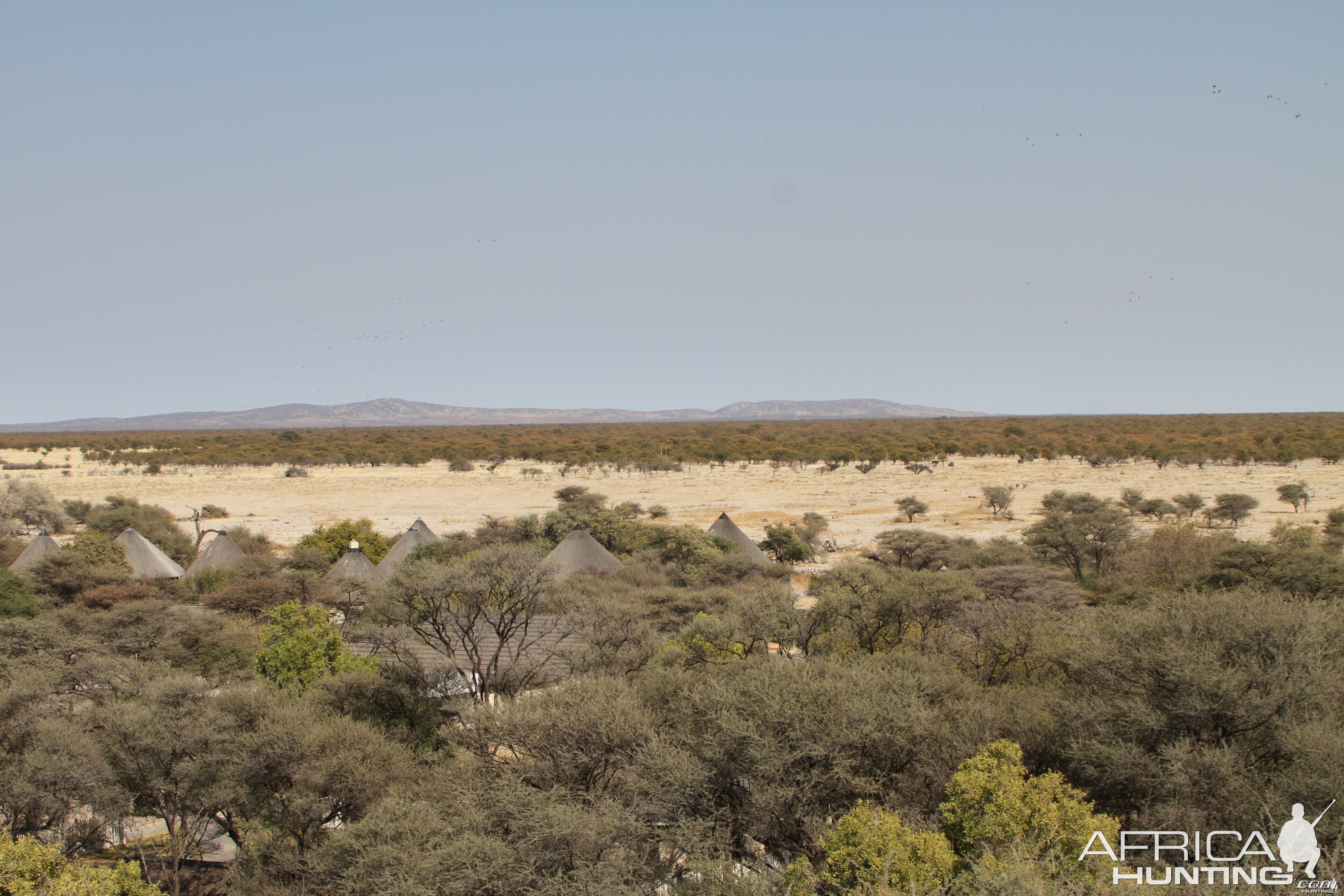 Etosha National Park