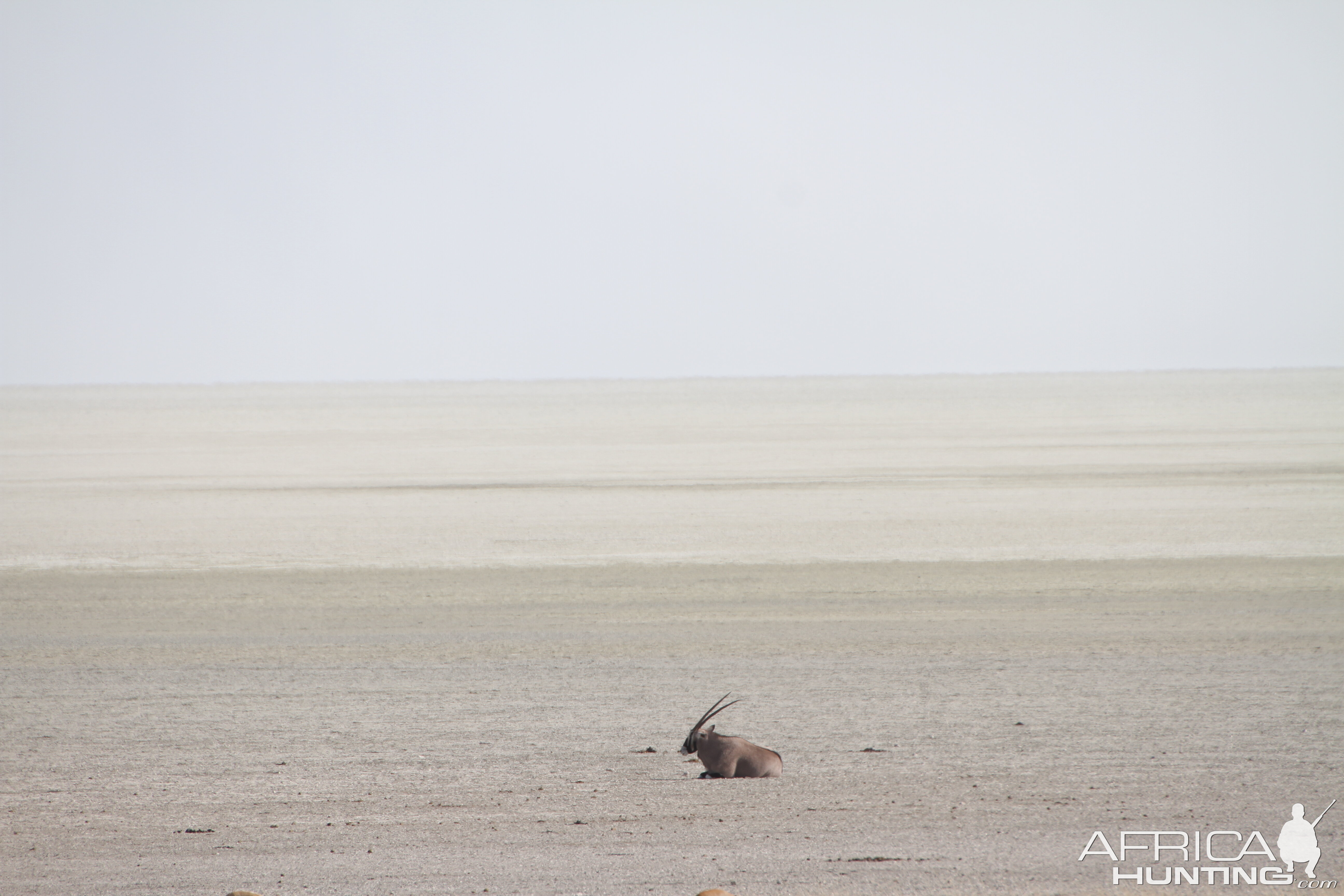 Etosha National Park