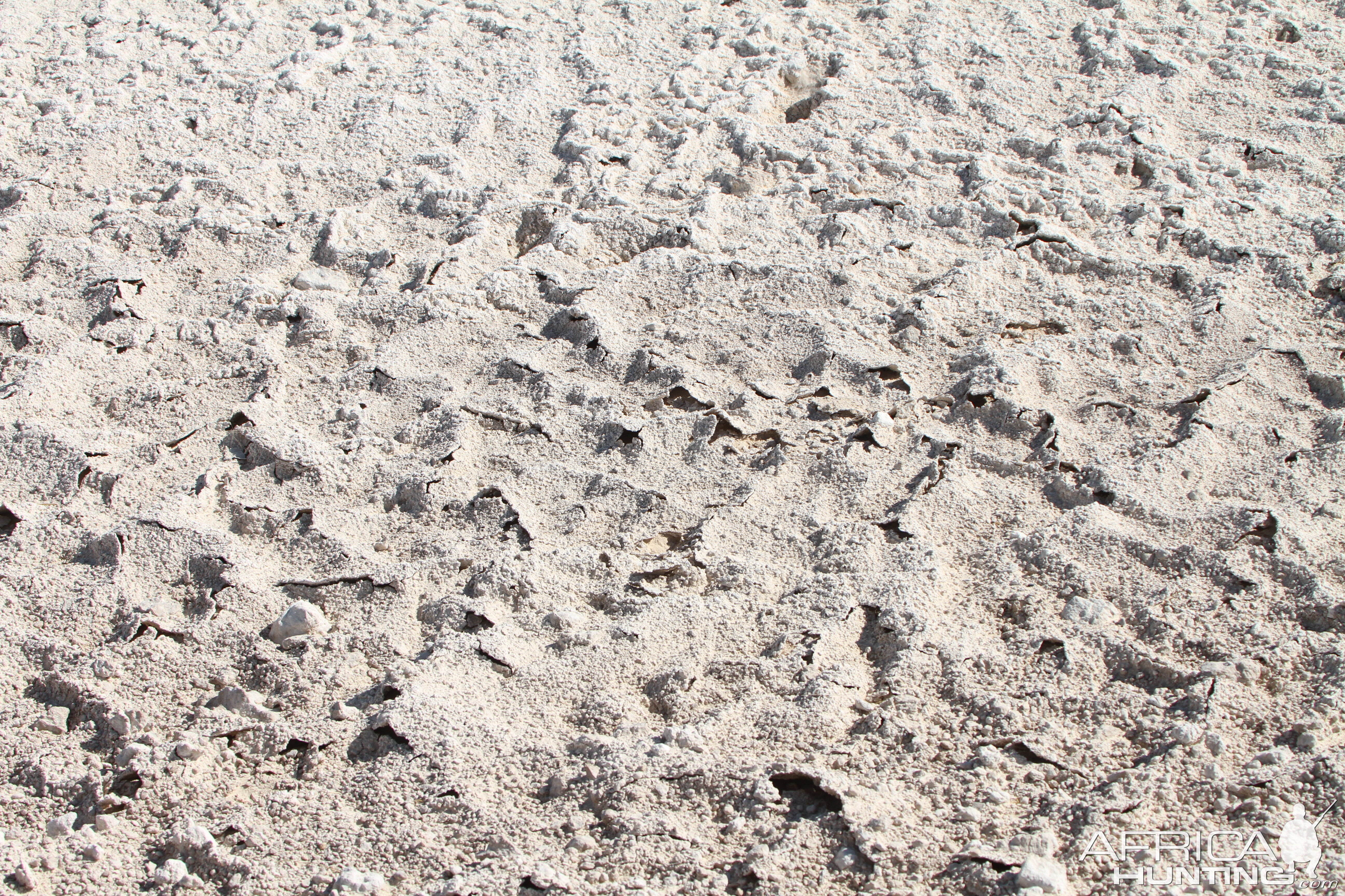 Etosha National Park