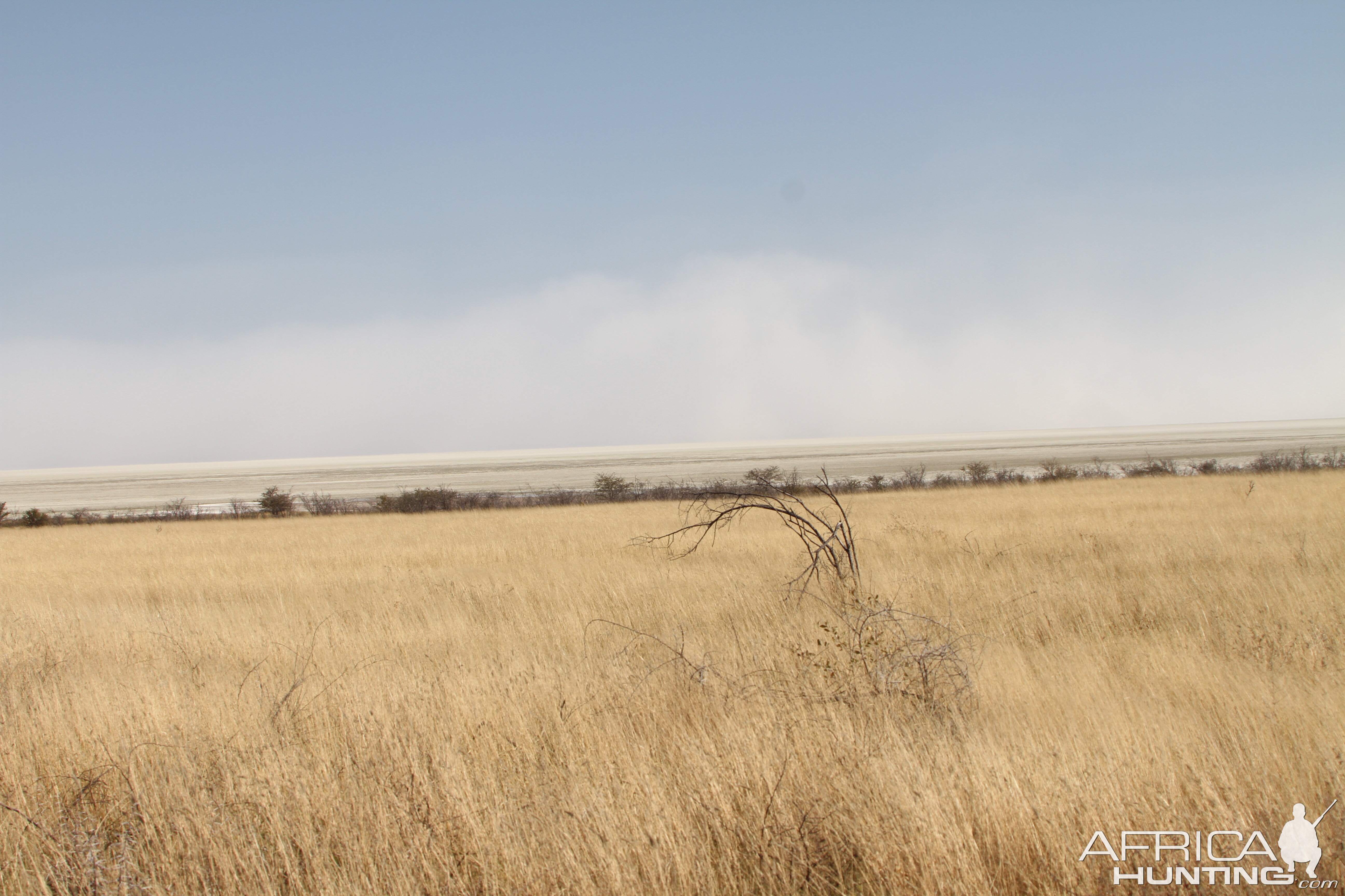 Etosha National Park