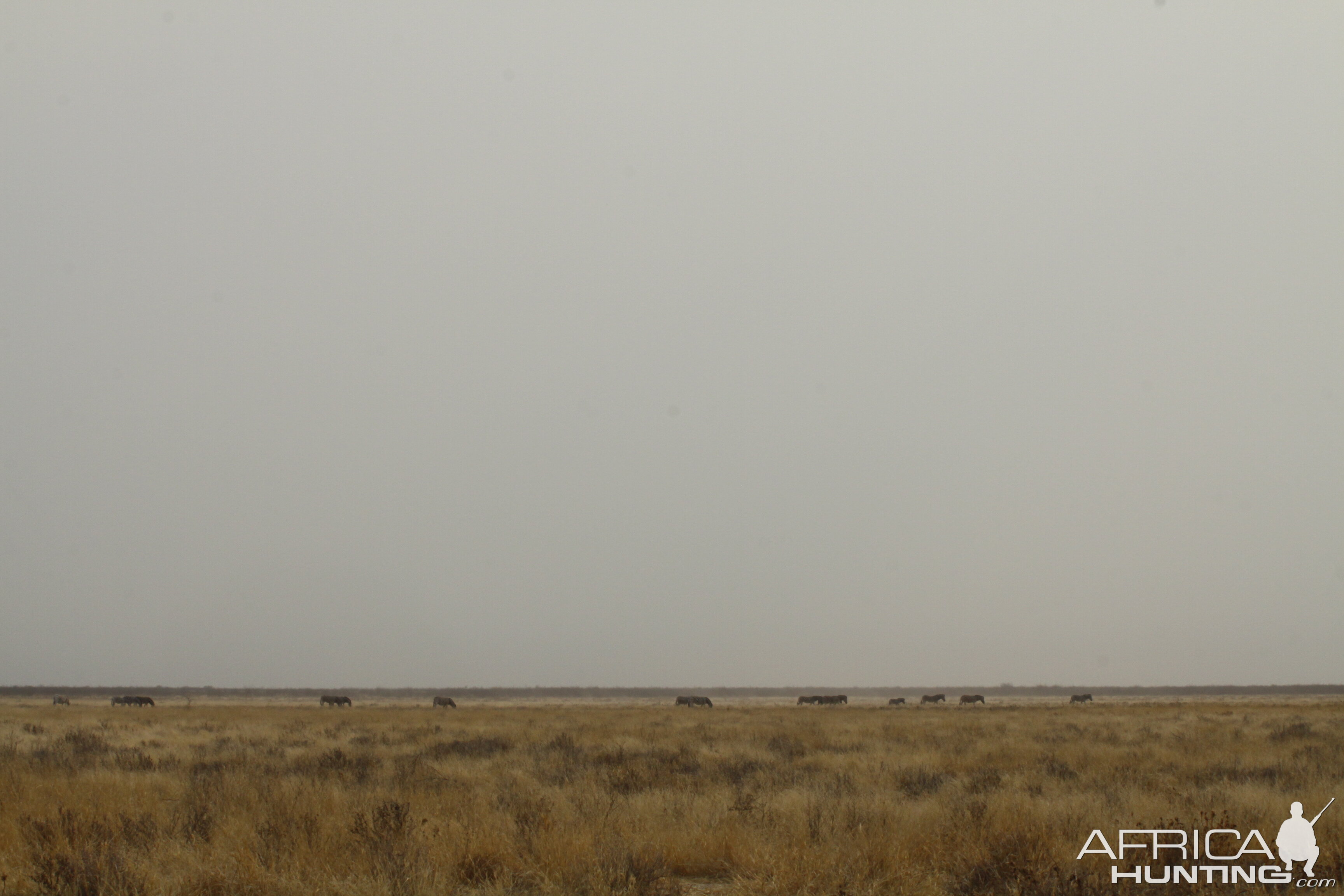 Etosha National Park