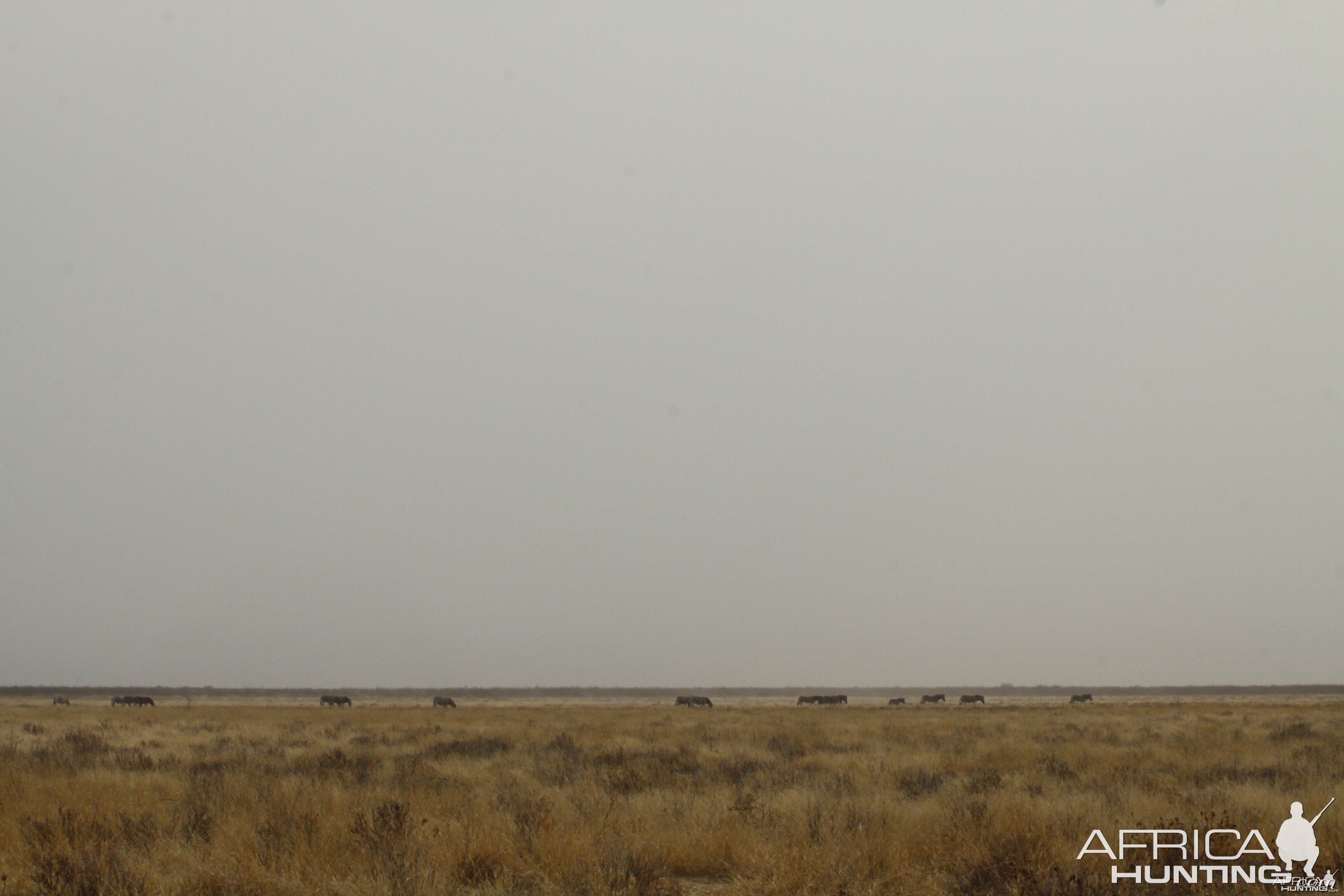 Etosha