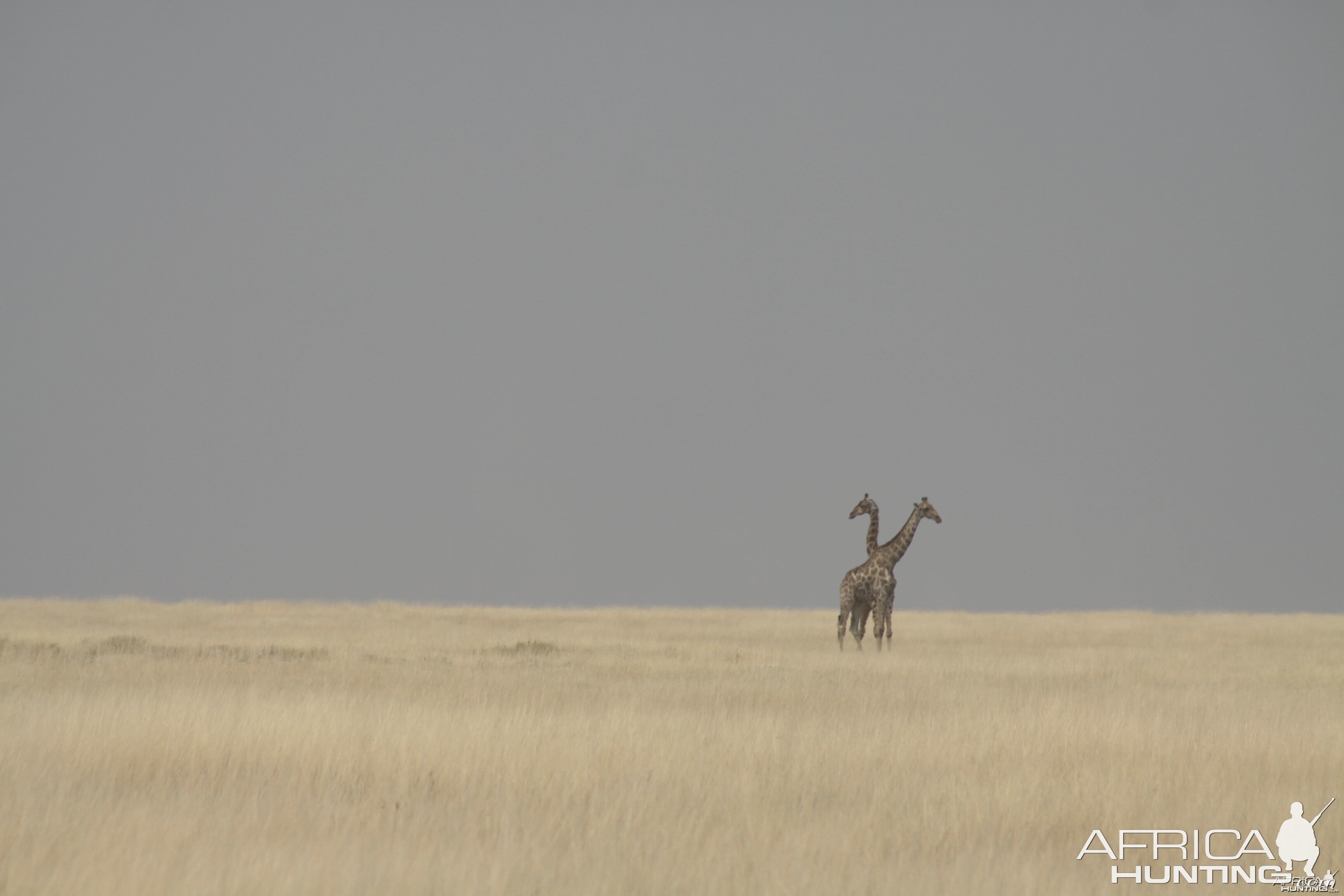 Etosha