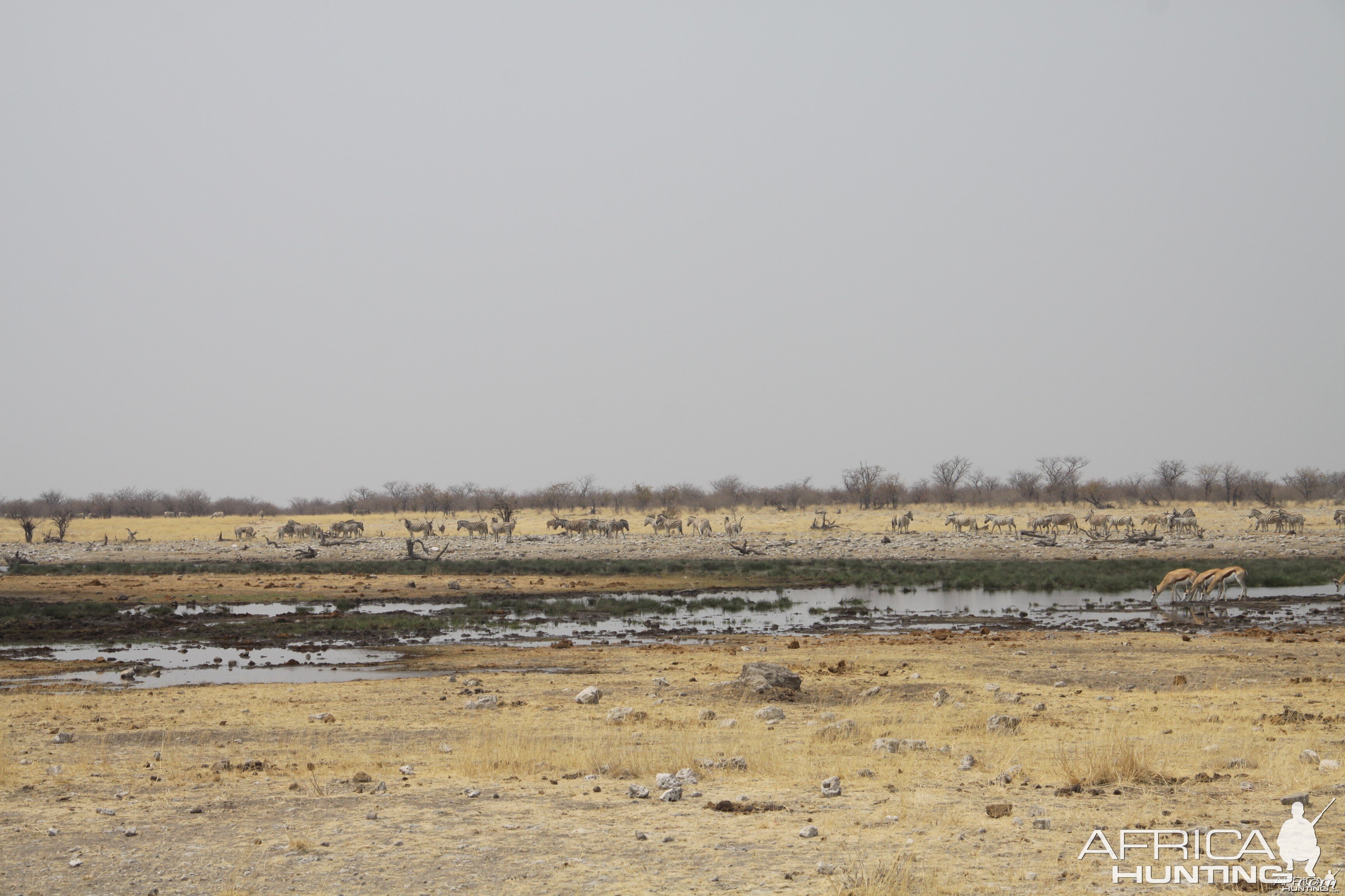 Etosha