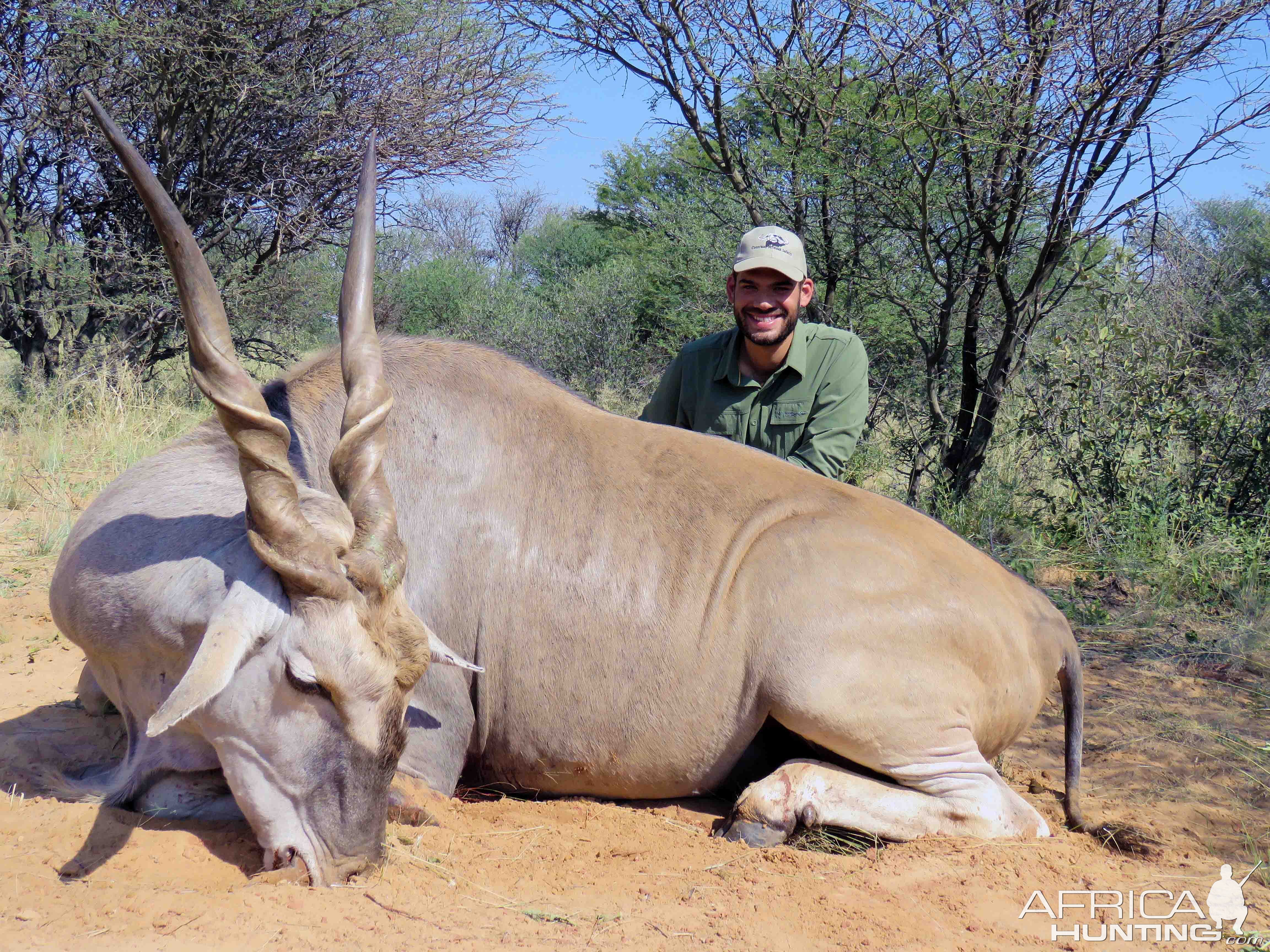 Excellent eland hunted by AH member