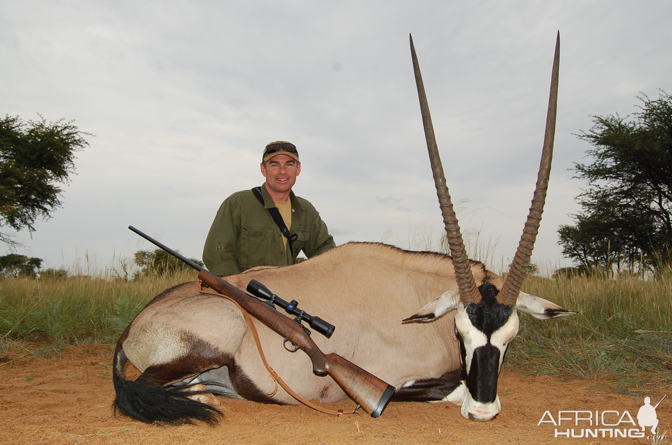 Excellent Gemsbuck bull