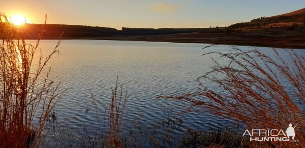 Exquisite Bird Hunting areas in South Africa!