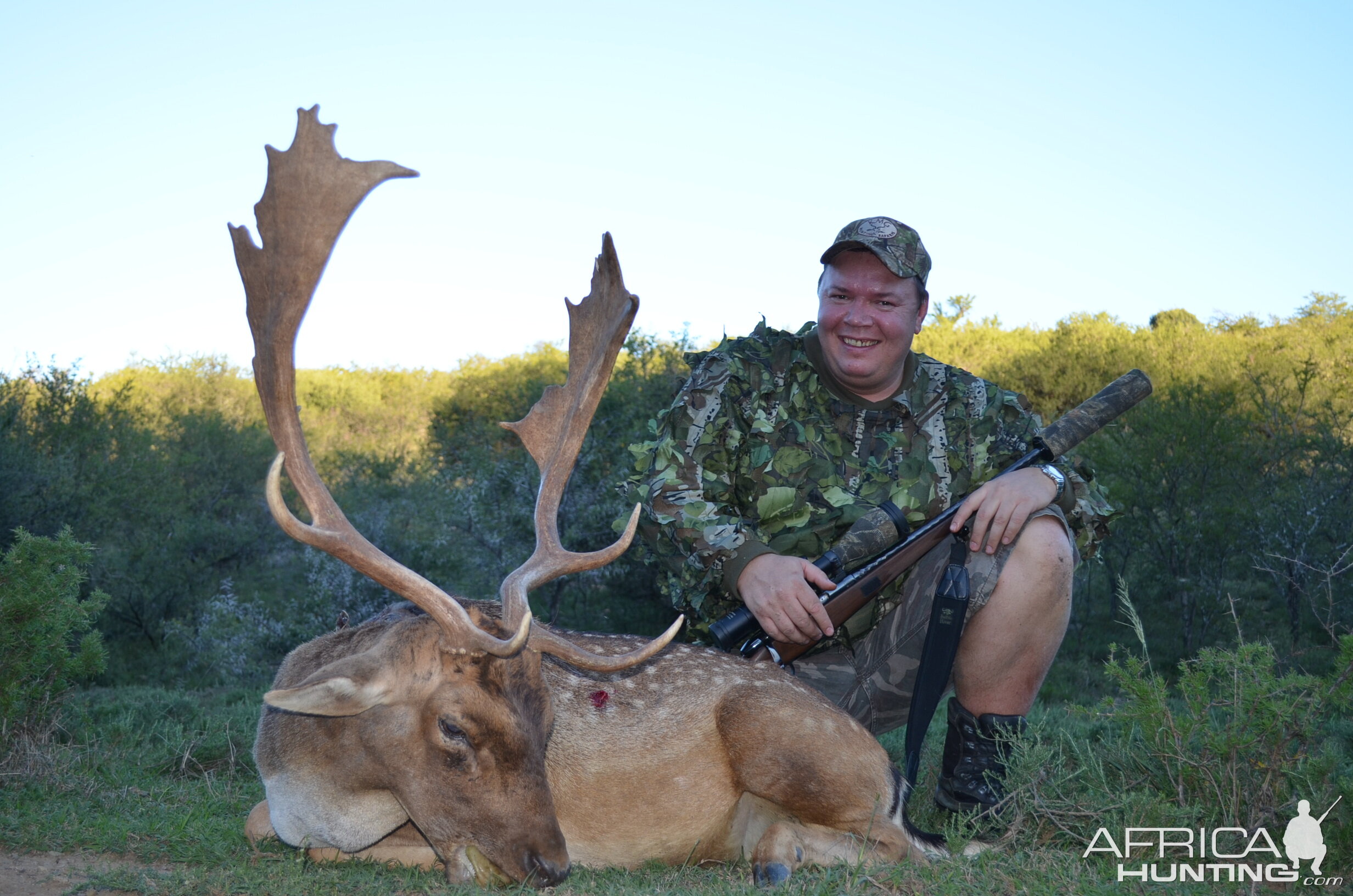 Fallow Deer Africa Hunting