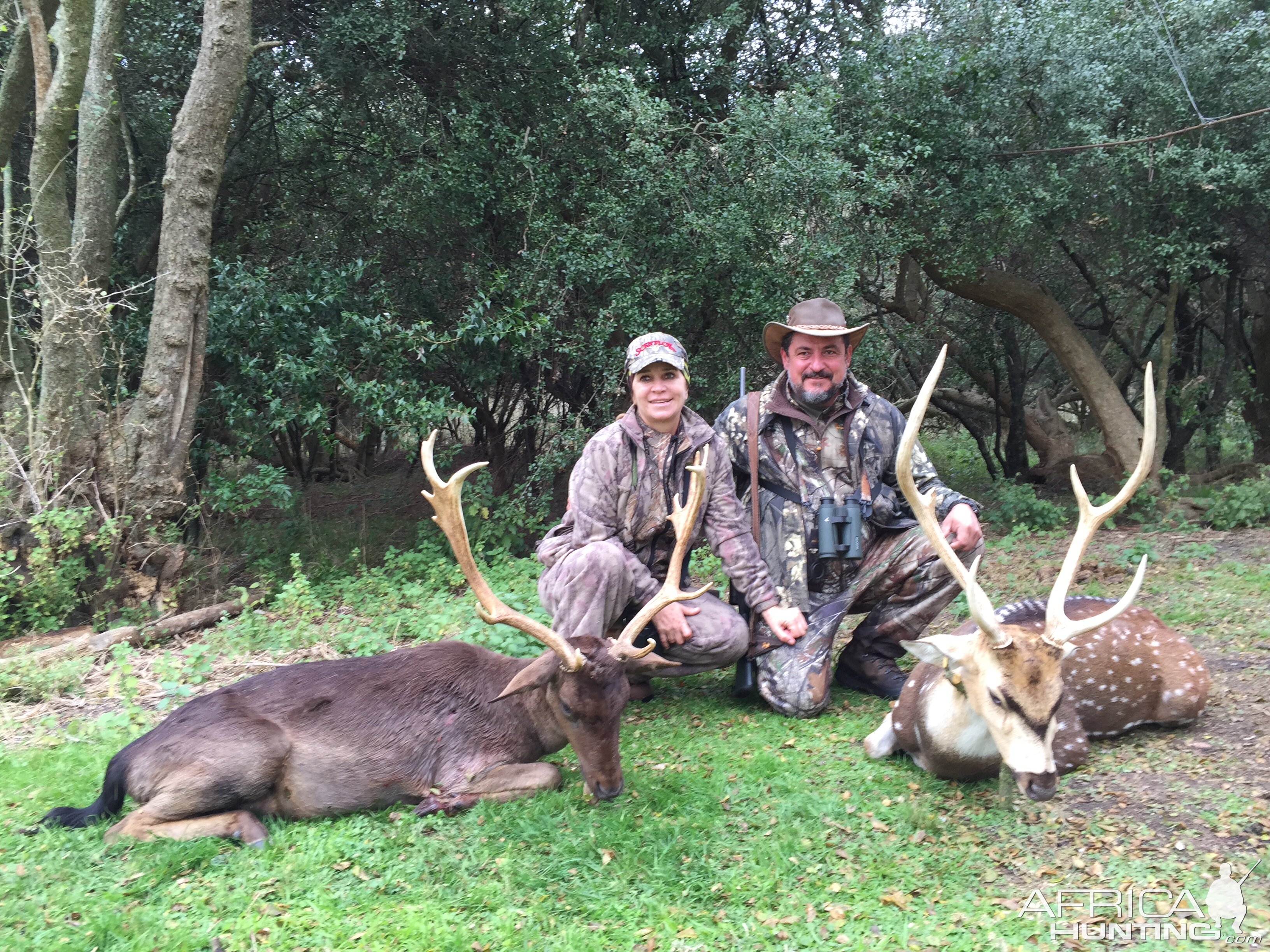 Fallow Deer & Axis Deer Hunt Argentina