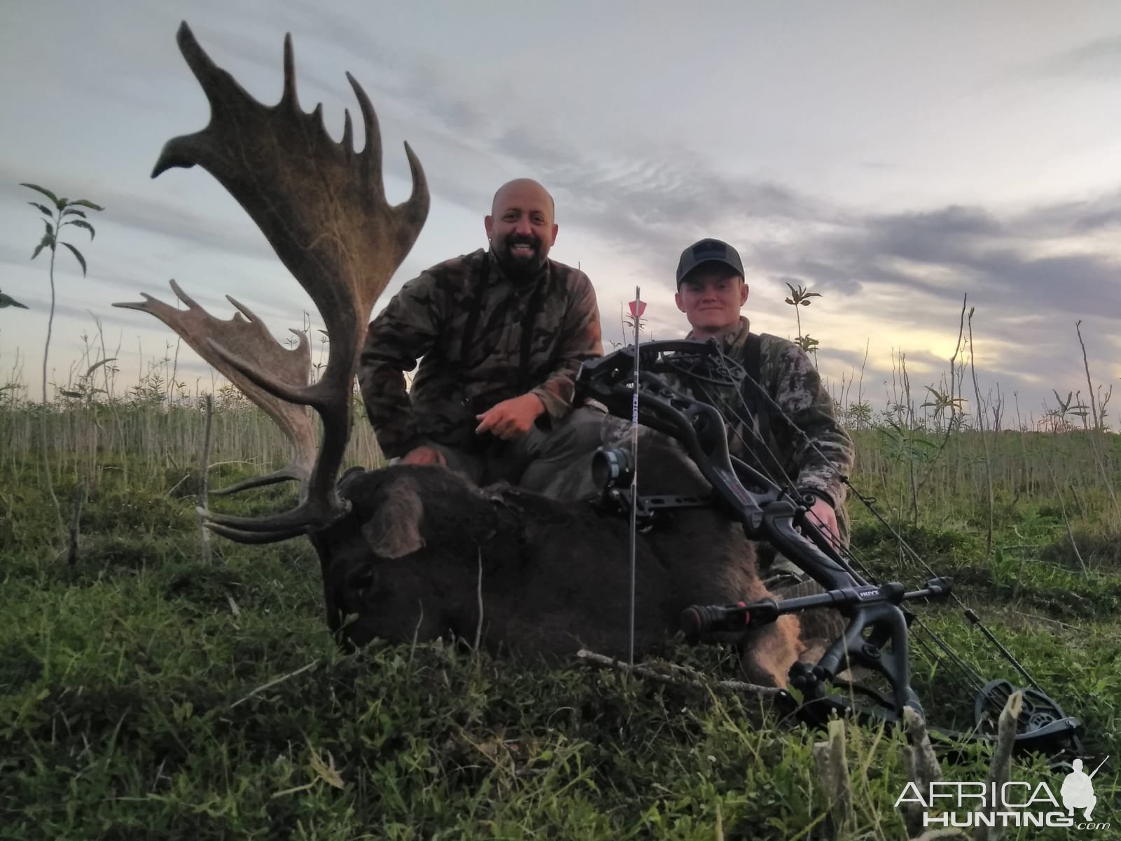 Fallow Deer Bow Hunt Argentina