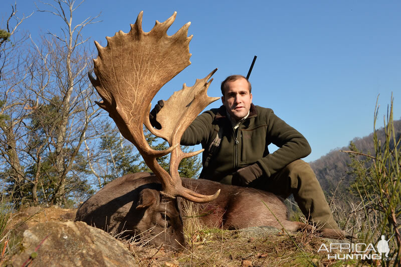 Fallow Deer Hunt France