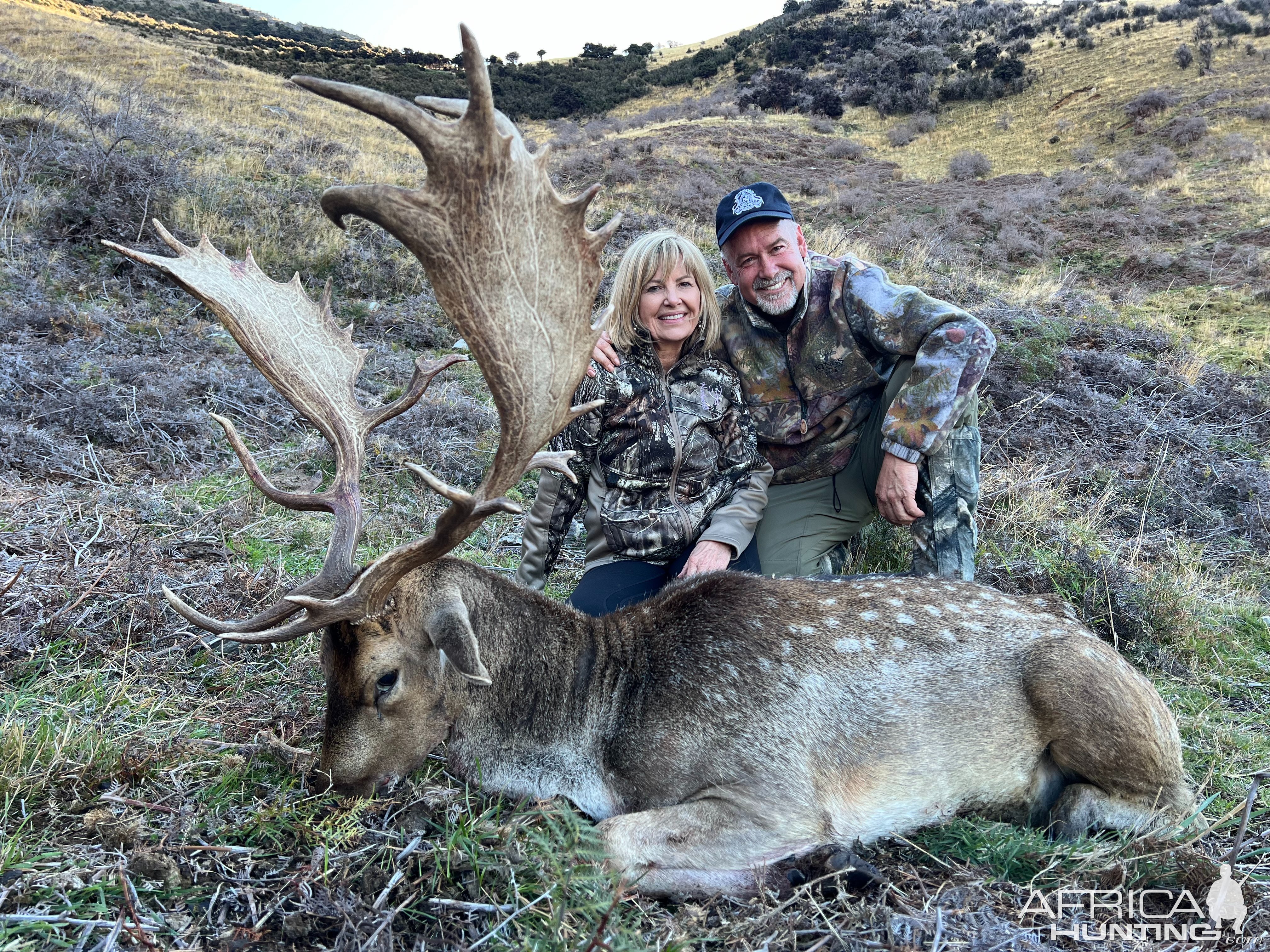 Fallow Deer Hunt New Zealand