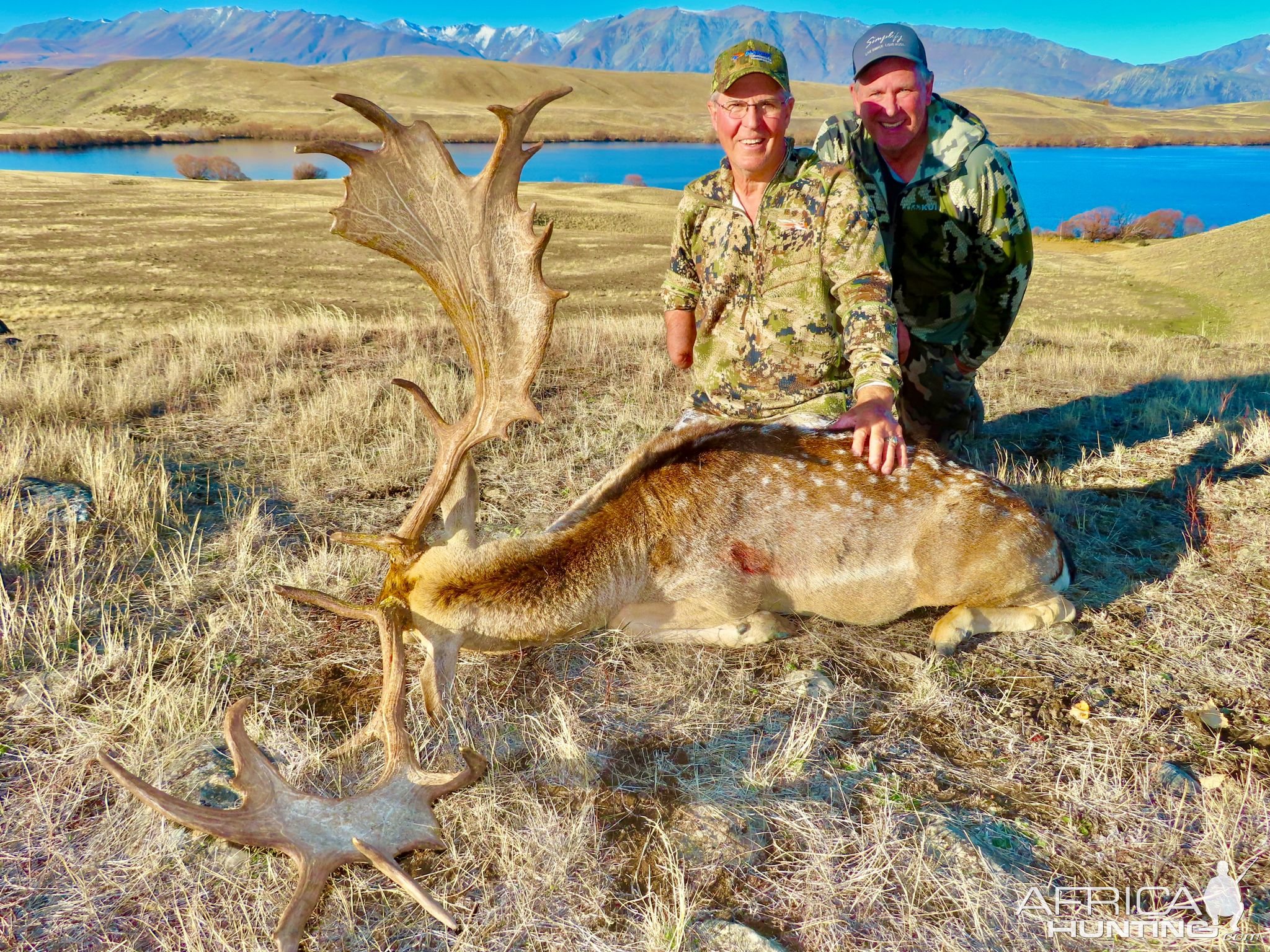 Fallow Deer Hunt New Zealand