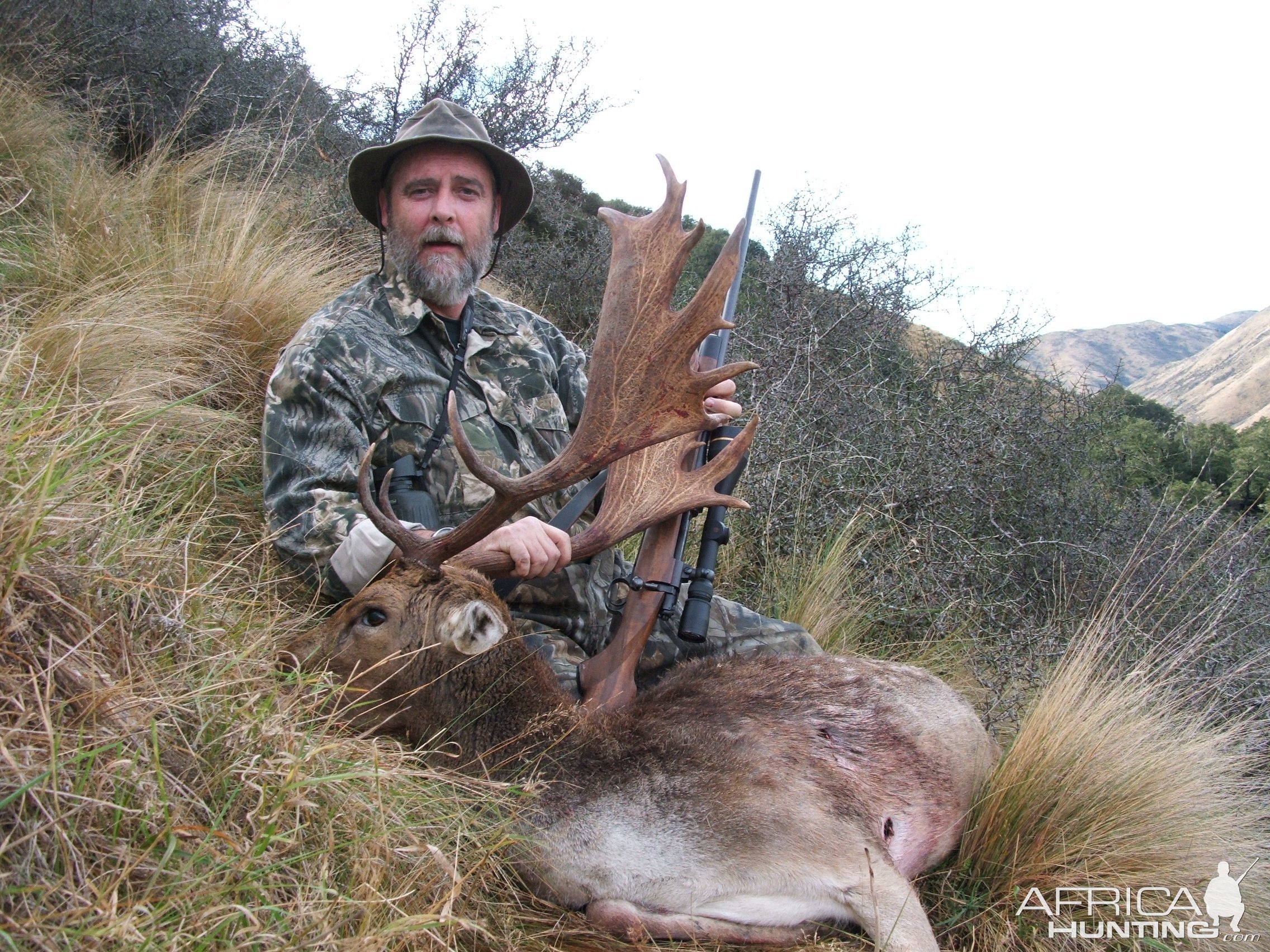 Fallow Deer Hunt New Zealand