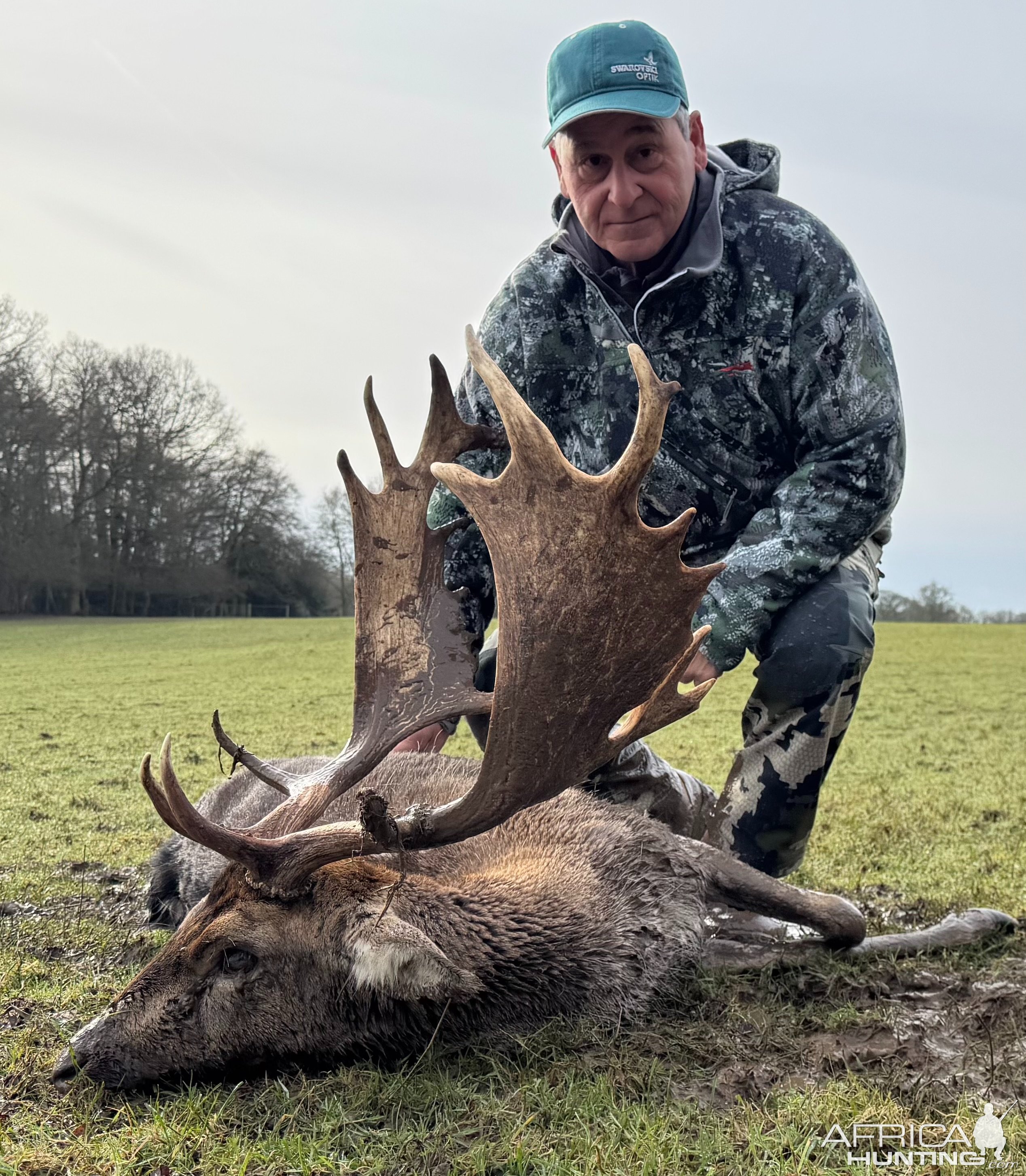 Fallow Deer Hunt United Kingdom