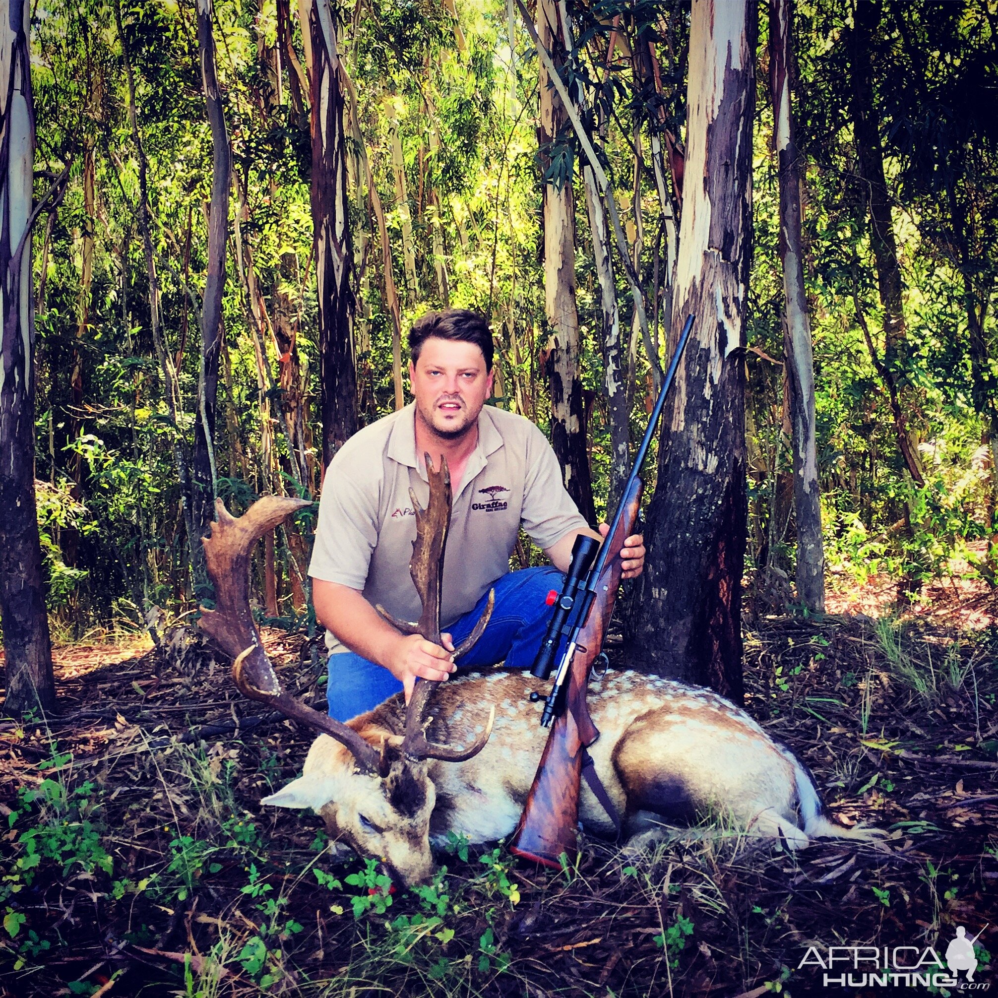 Fallow Deer Hunt