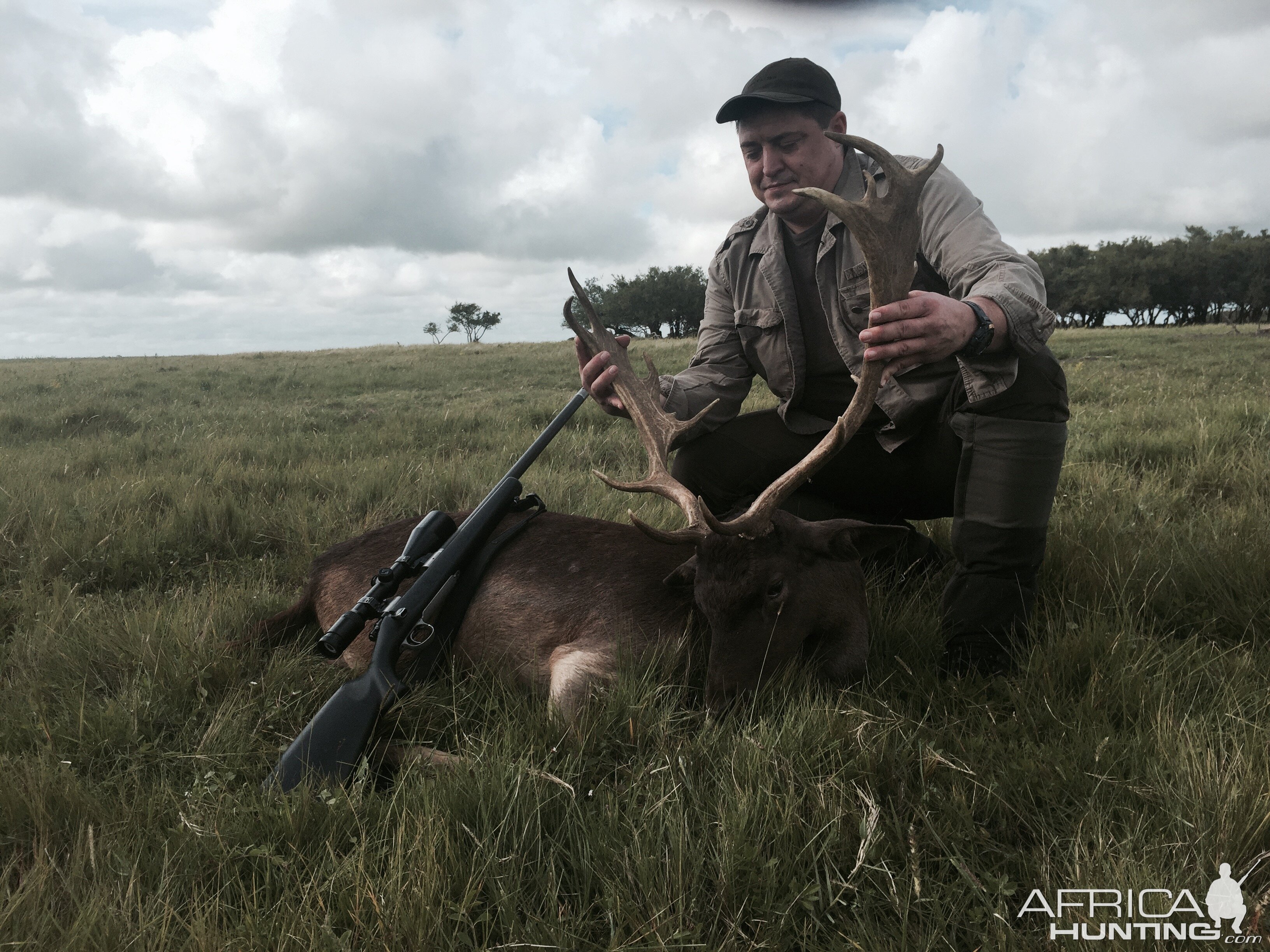 Fallow Deer Hunting Argentina