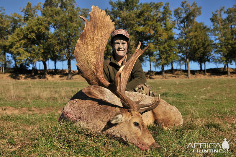 Fallow Deer Hunting France