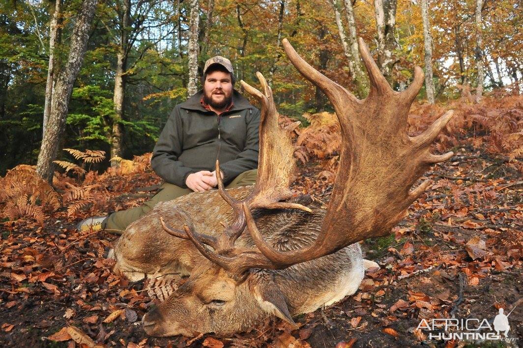 Fallow Deer Hunting in France