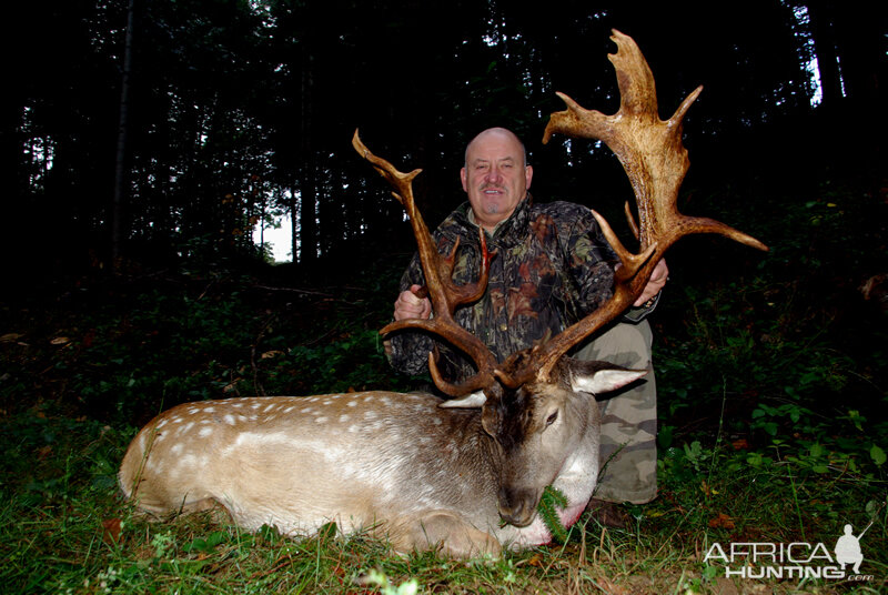 Fallow Deer Hunting in France