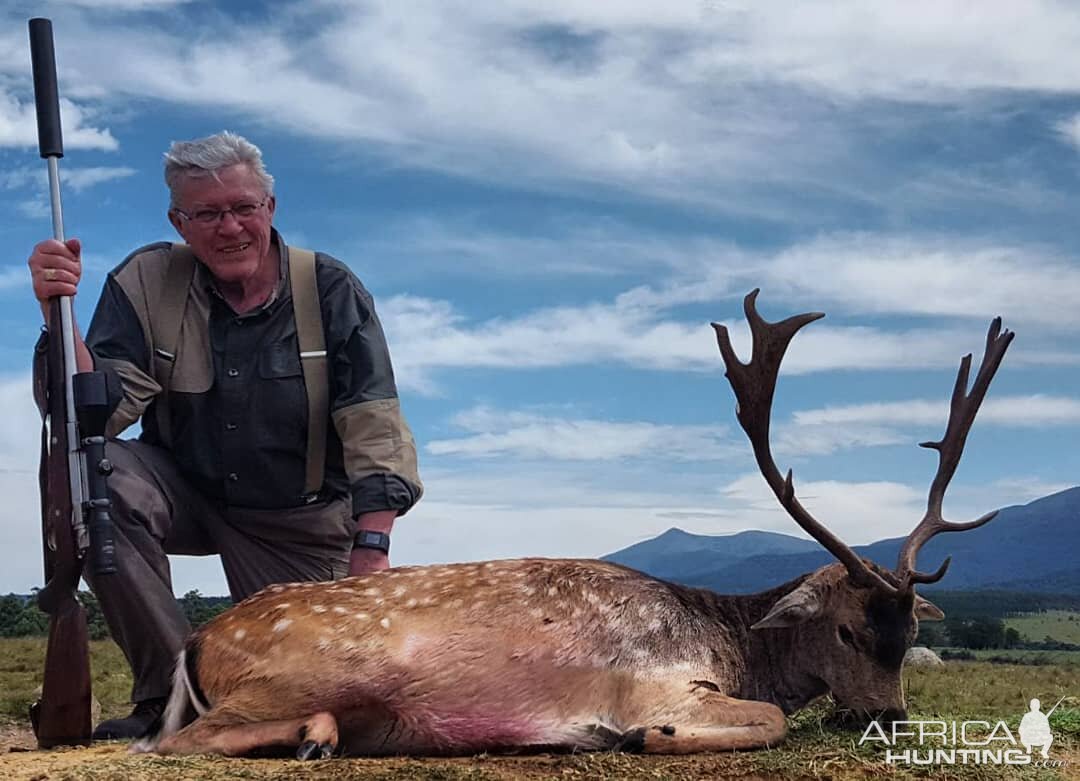 Fallow Deer Hunting in South Africa