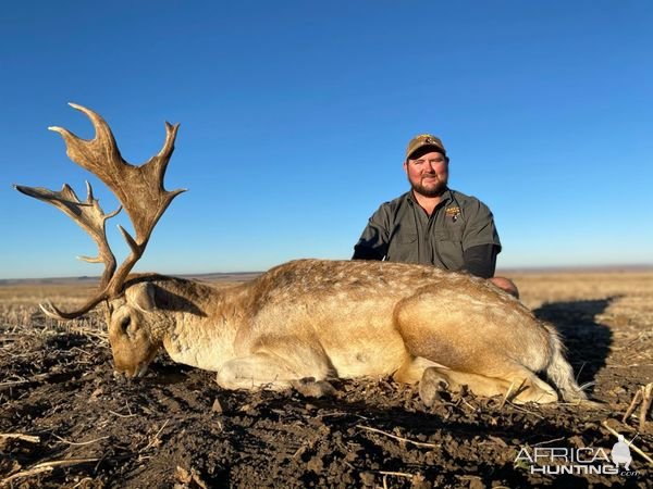 Fallow Deer Hunting South Africa