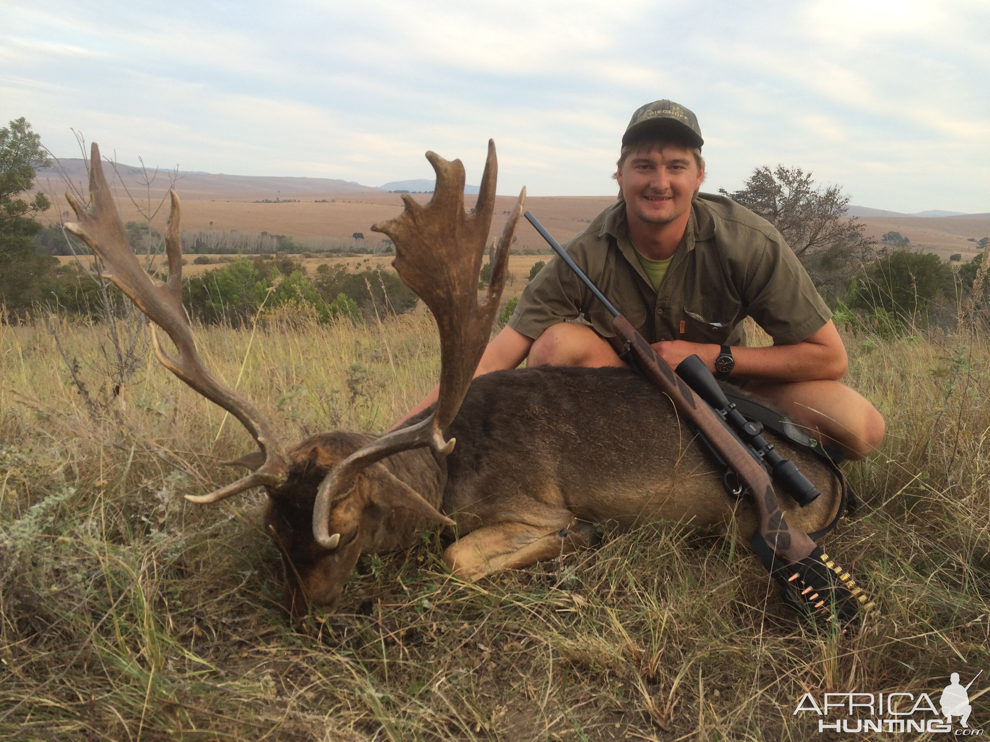 Fallow Deer Hunting South Africa