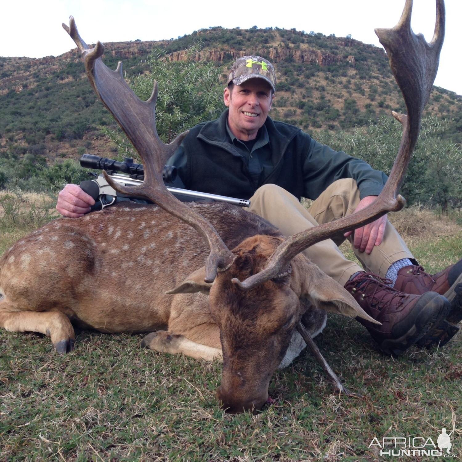 Fallow Deer Hunting South Africa