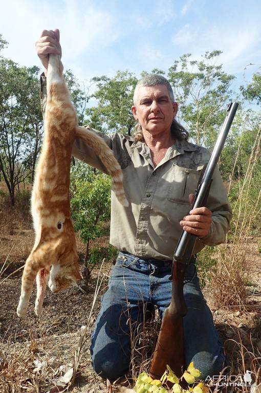 Feral Cat Hunt Australia