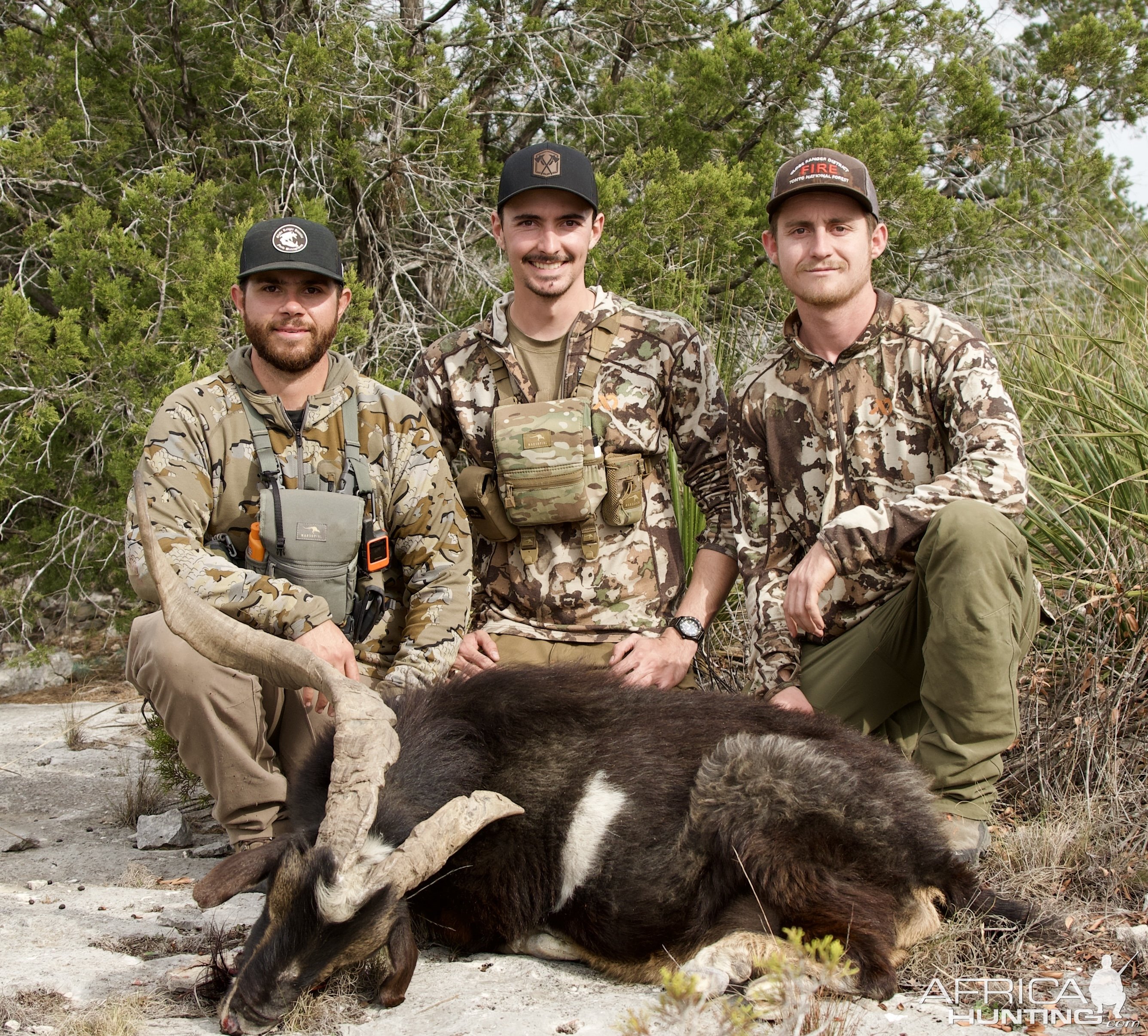 Feral Goat Hunt Texas