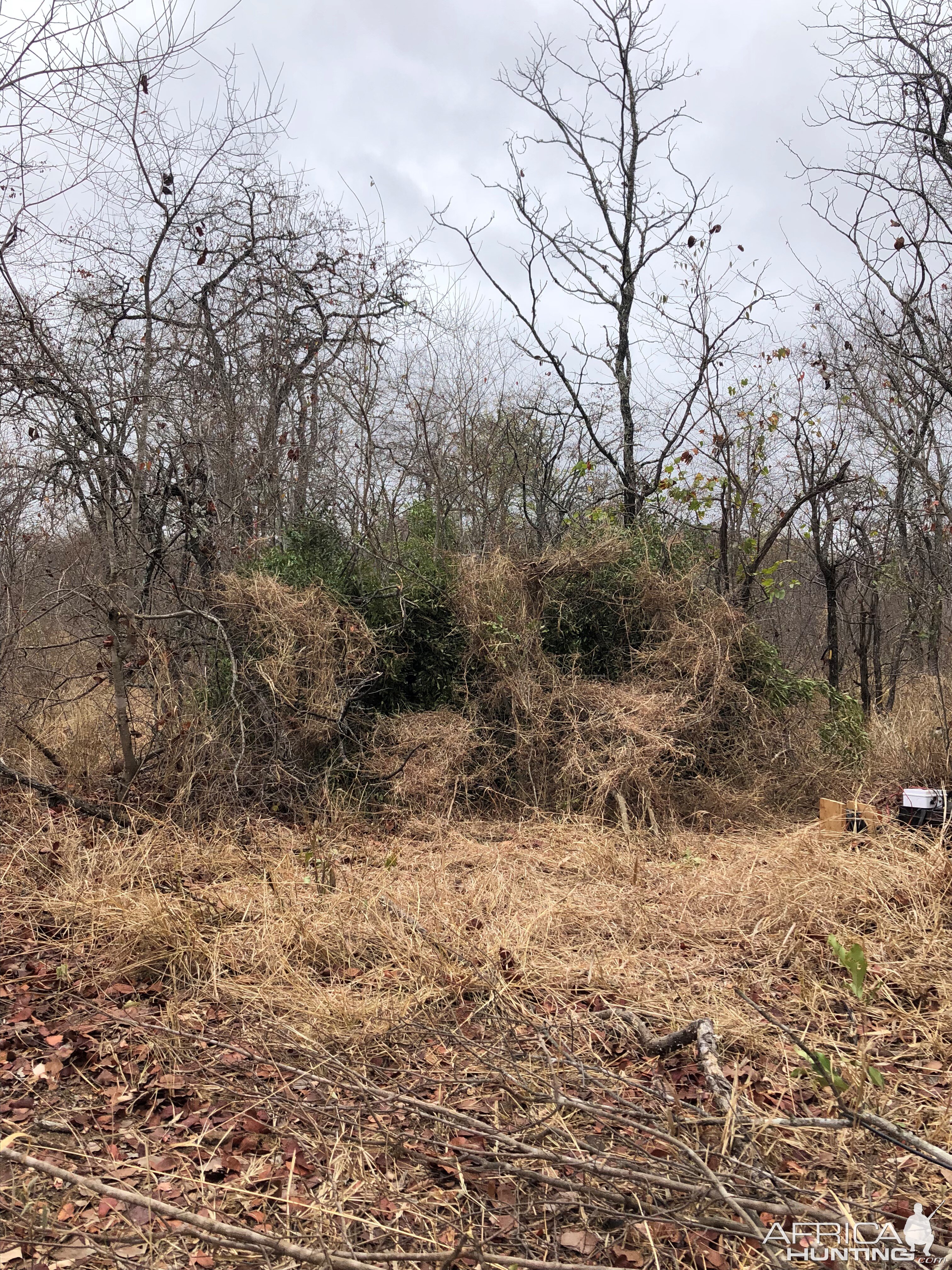 Finished product view from bait site to blind (2)