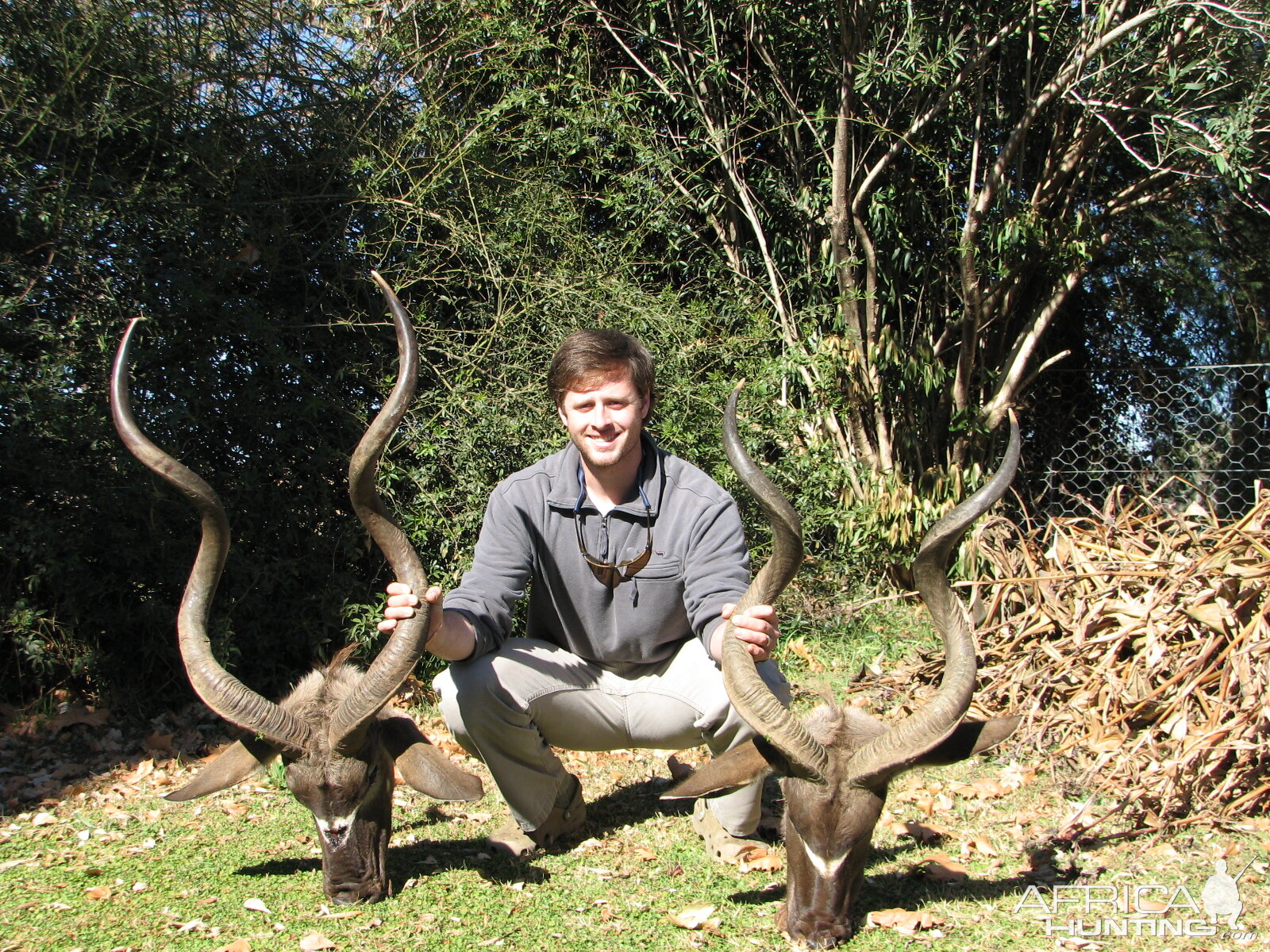 First and Second Kudu Bulls