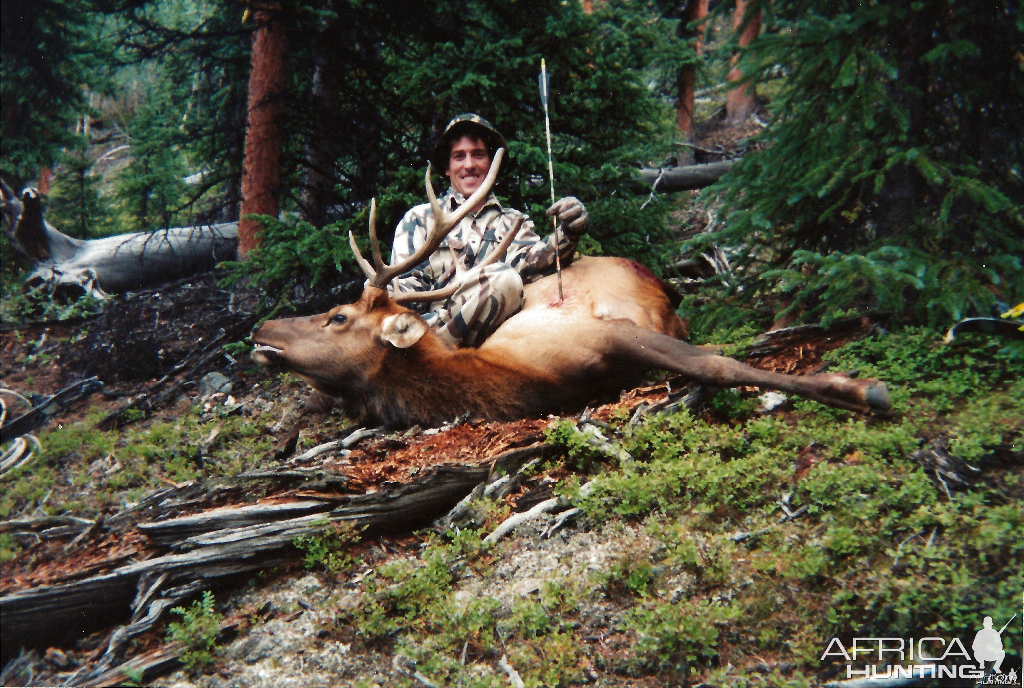 First elk with a bow