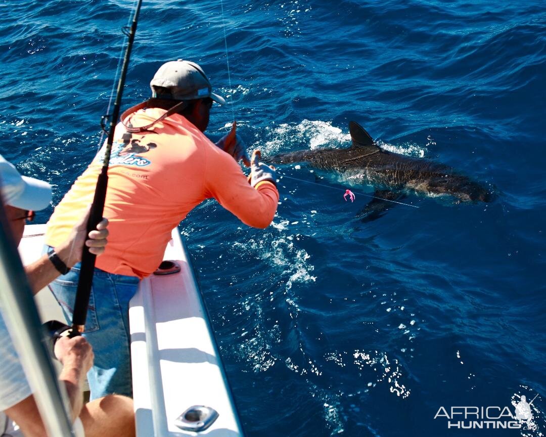 Fishing Cabo San Lucas Mexico