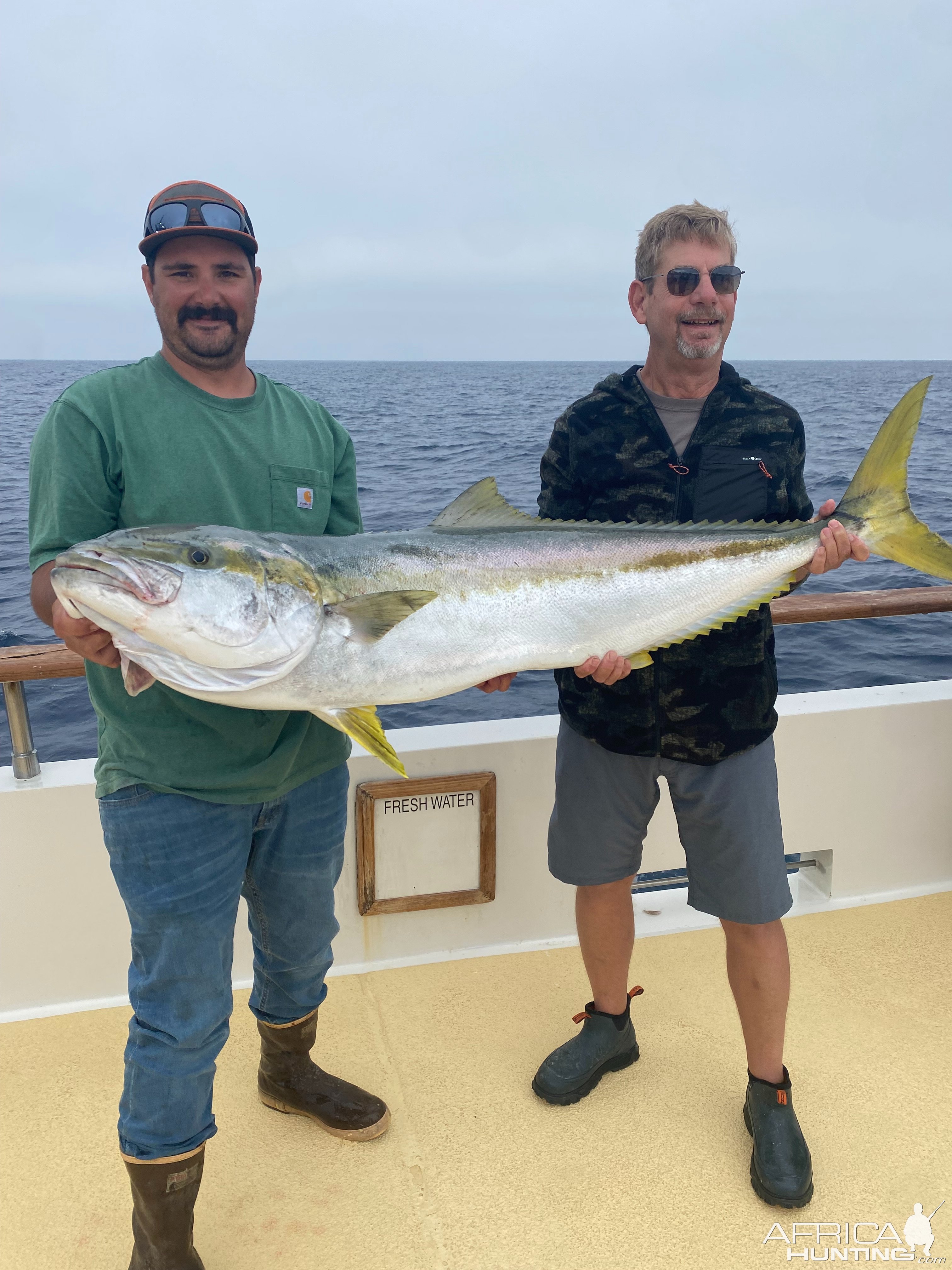 Fishing California Yellowtail