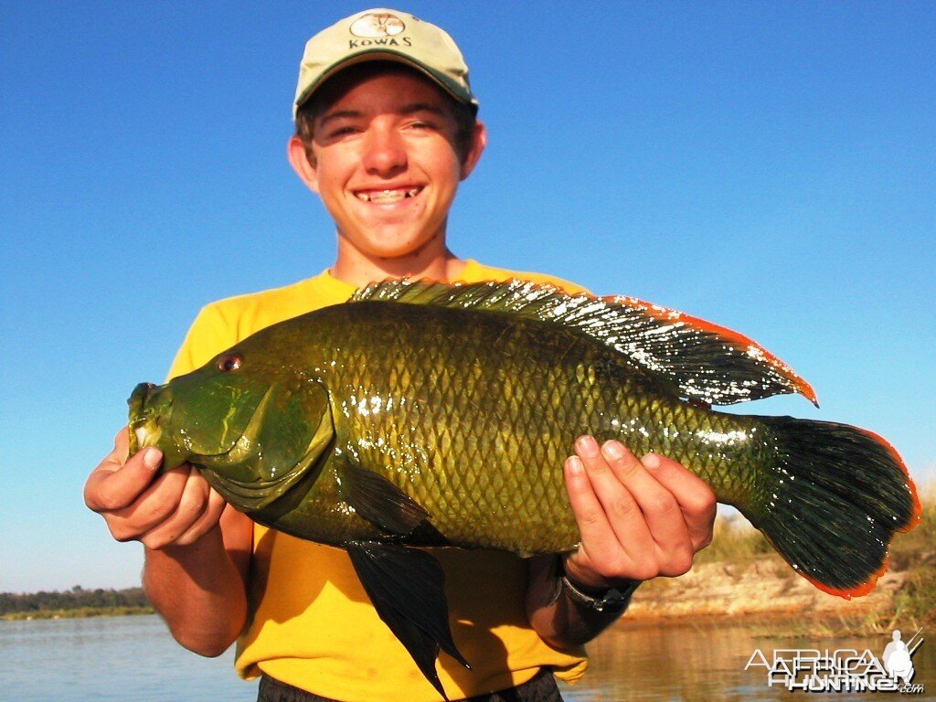 Fishing in Namibia - Caprivi