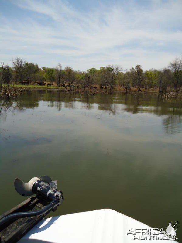 Fishing in Zimbabwe