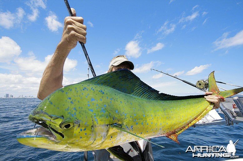 Fishing Monster Mahi