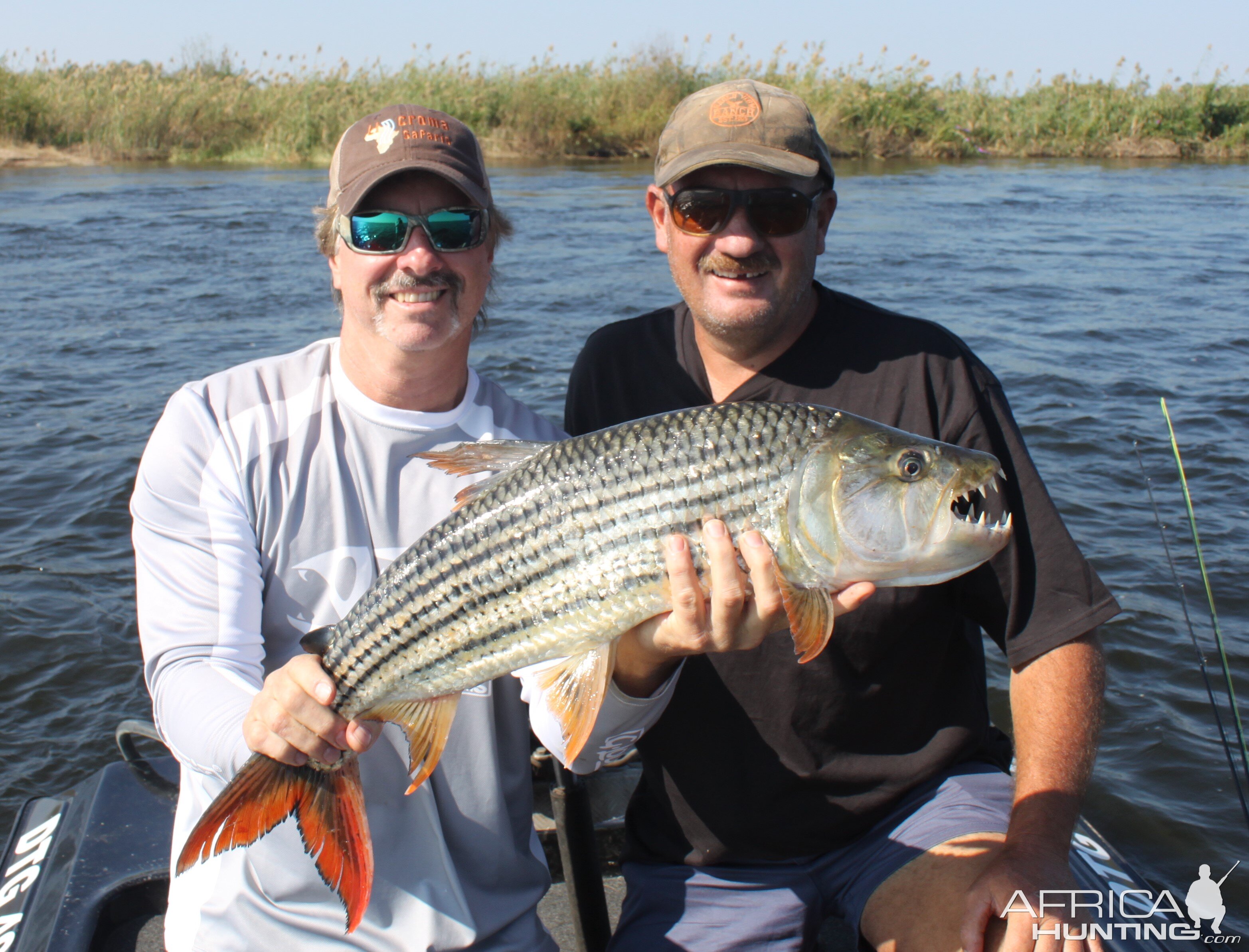 Fishing Namibia Tiger Fish Zambezi