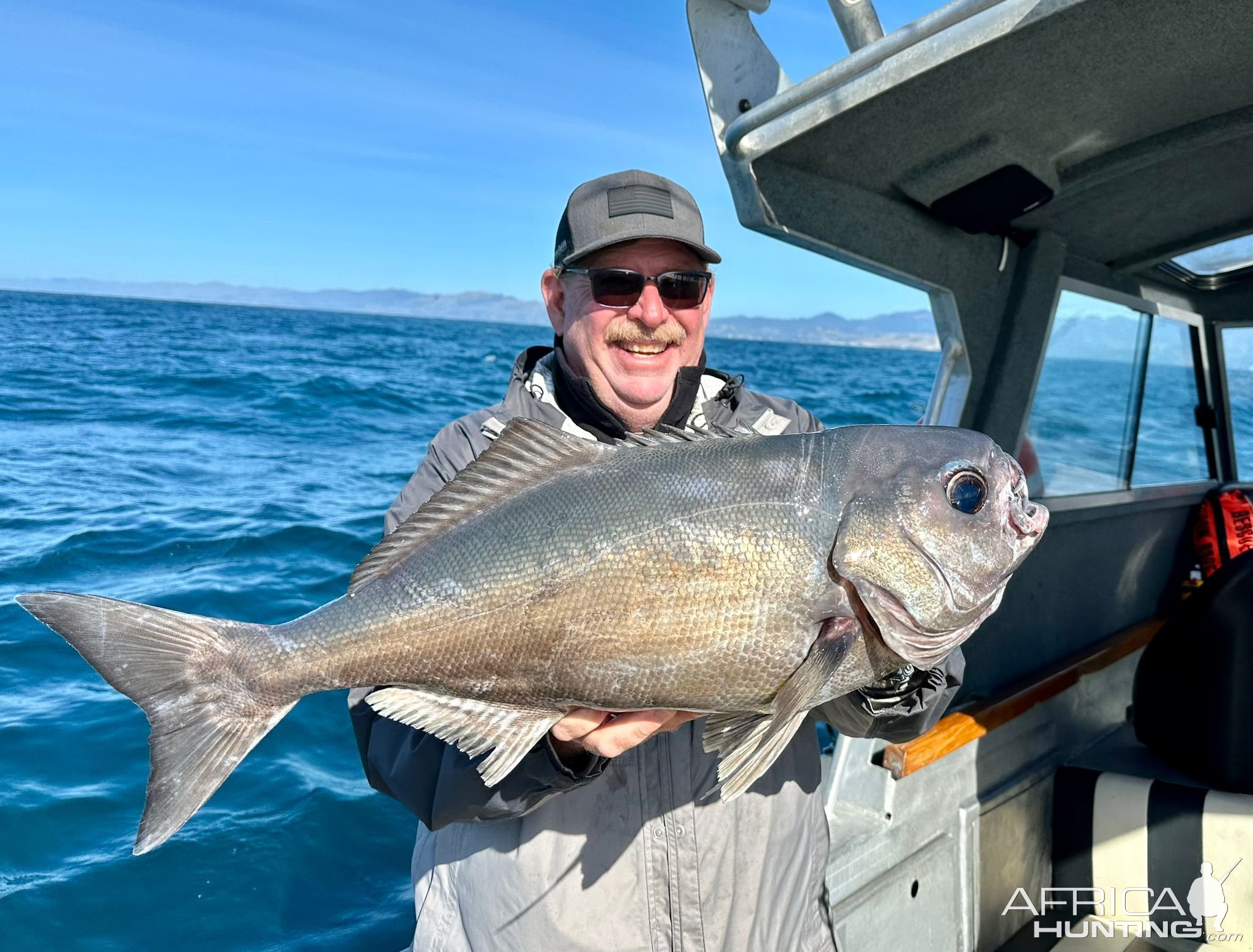 Fishing New Zealand