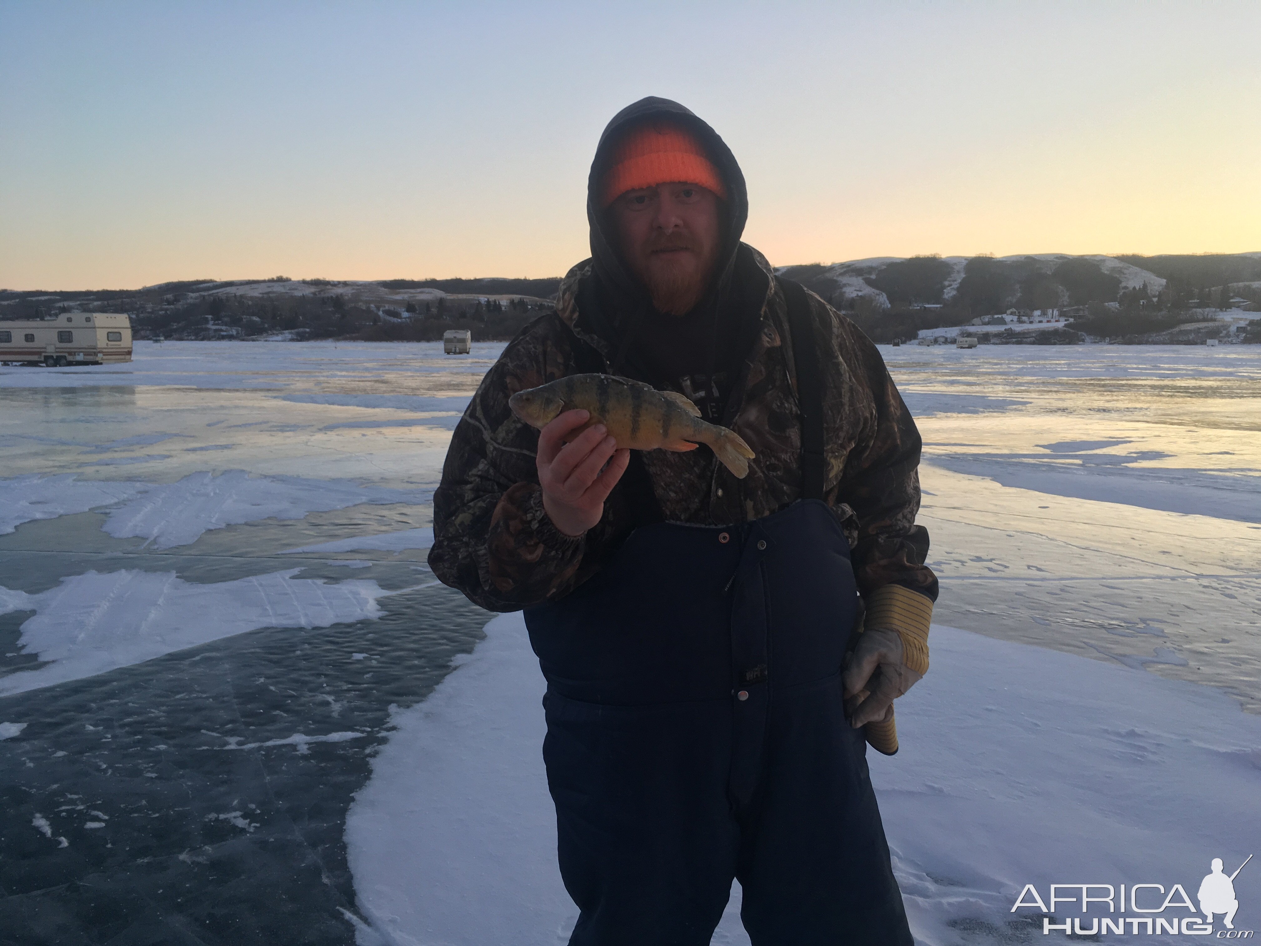 Fishing Perch