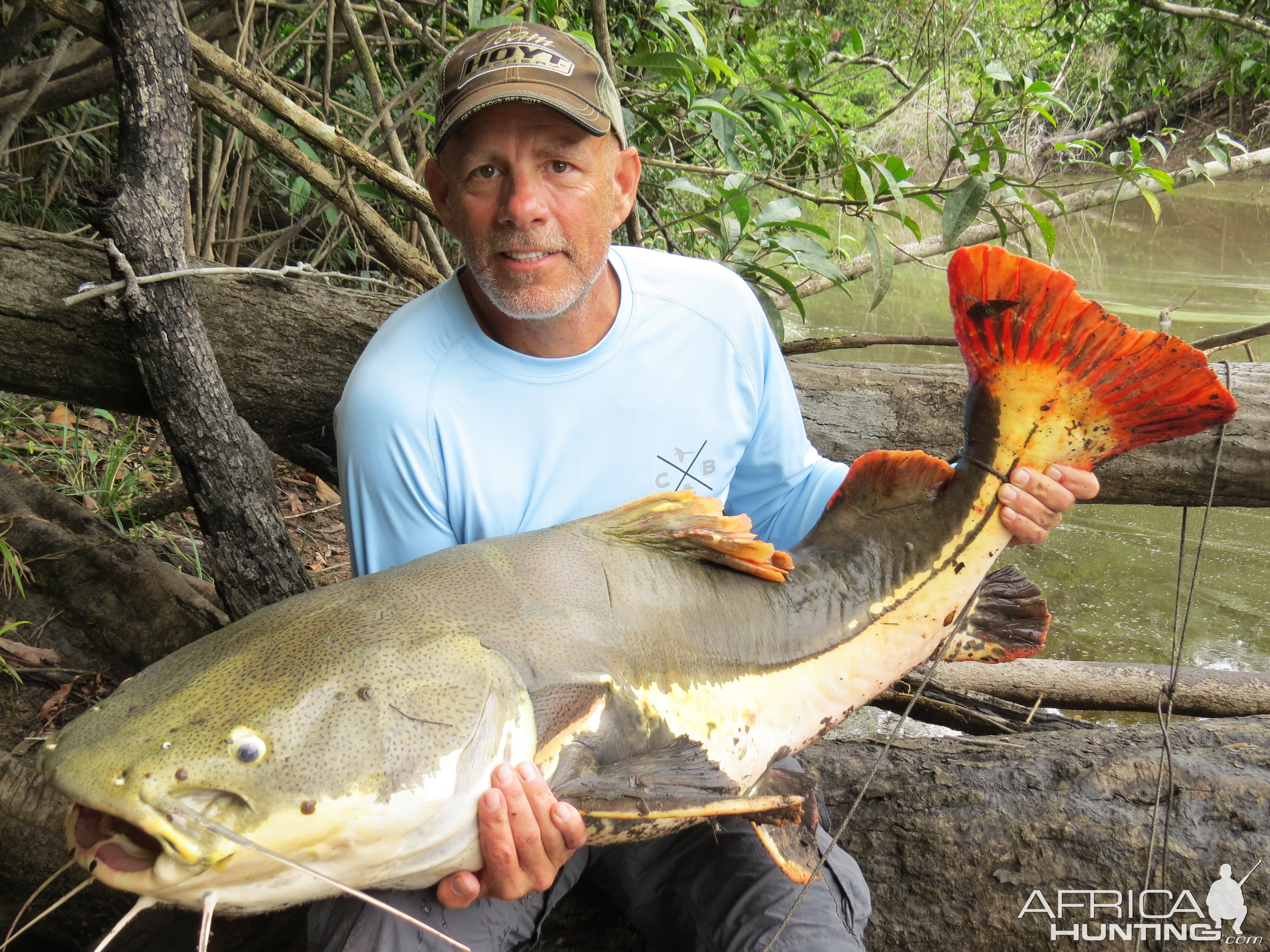 Fishing Redtail Catfish Brazil