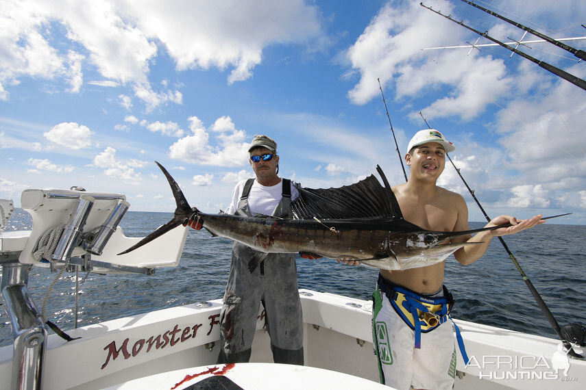 Fishing Sailfish