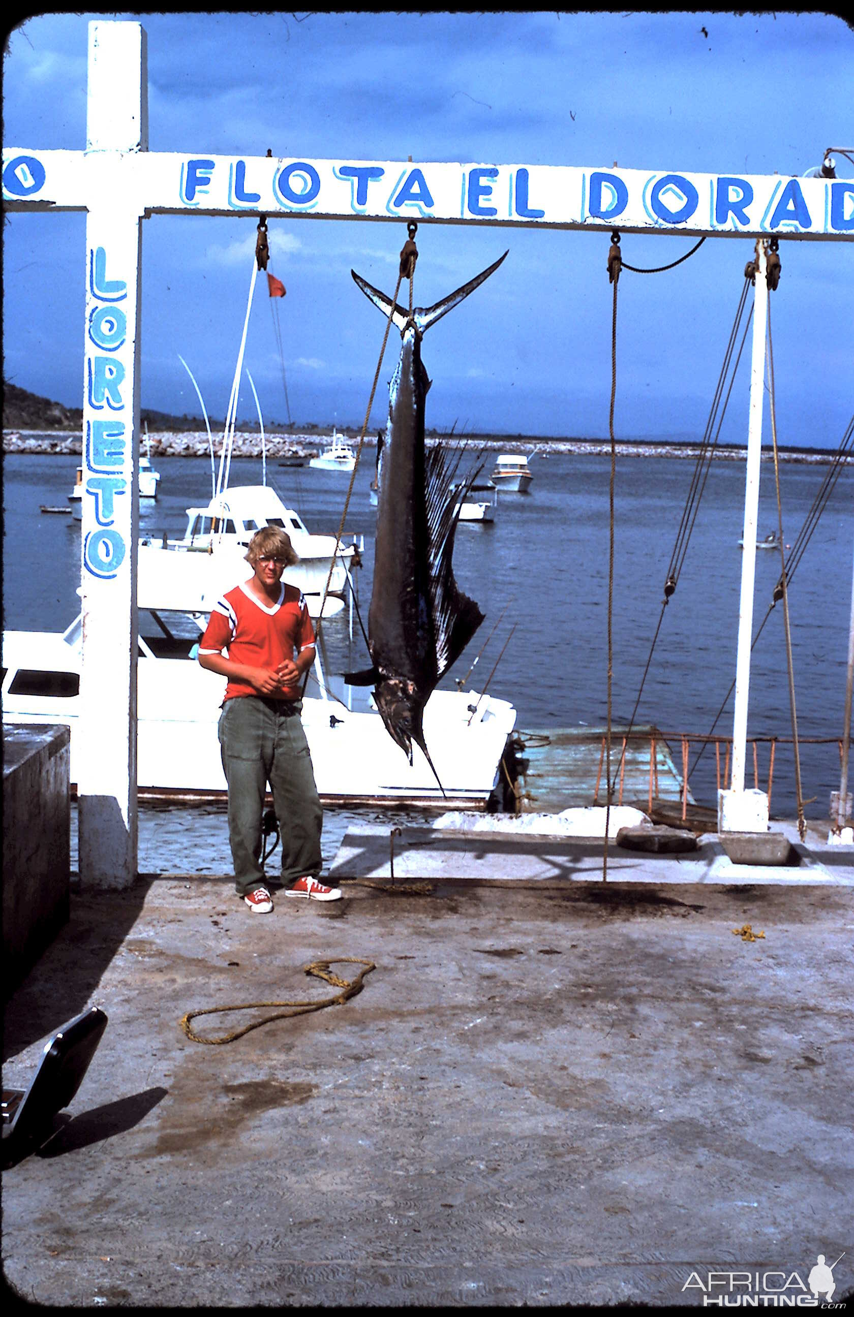 Fishing Sailfish