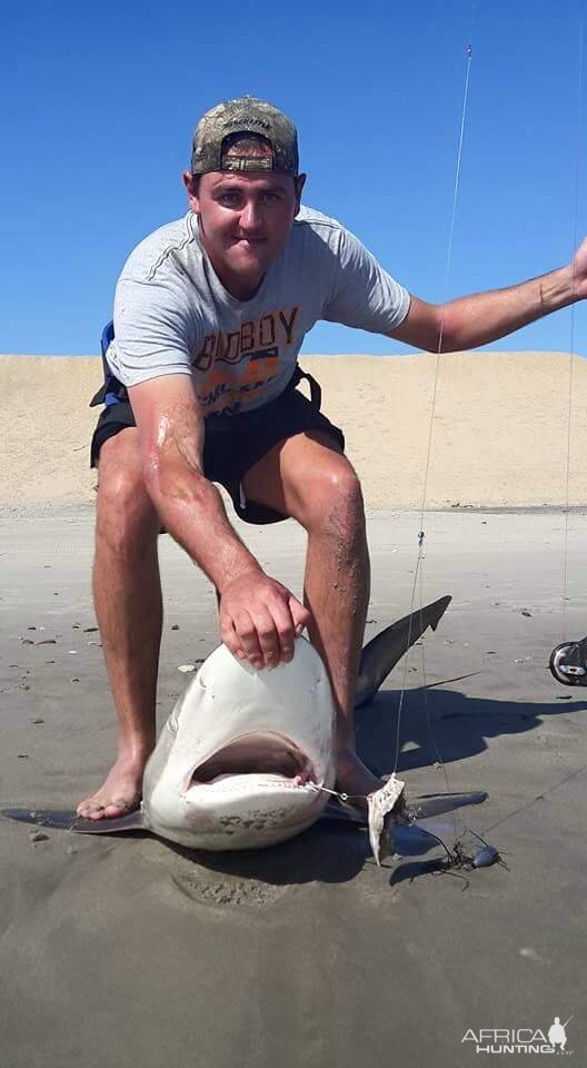 Fishing Shark in Namibia